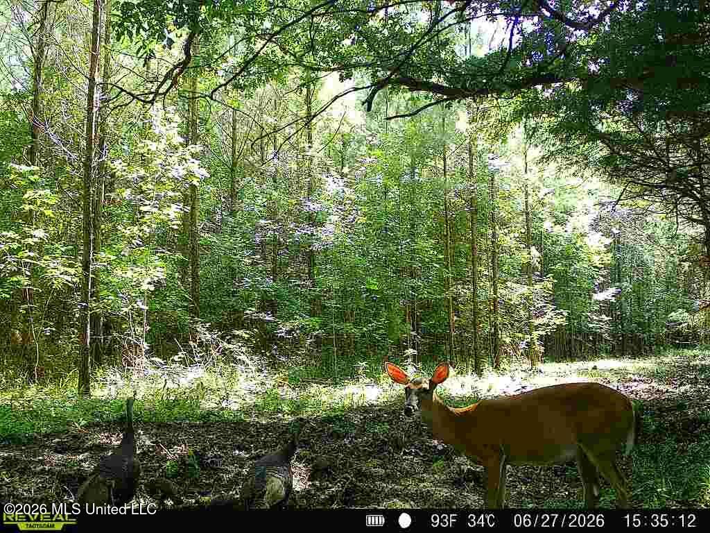 79 County Road 2349 Property Photo 57
