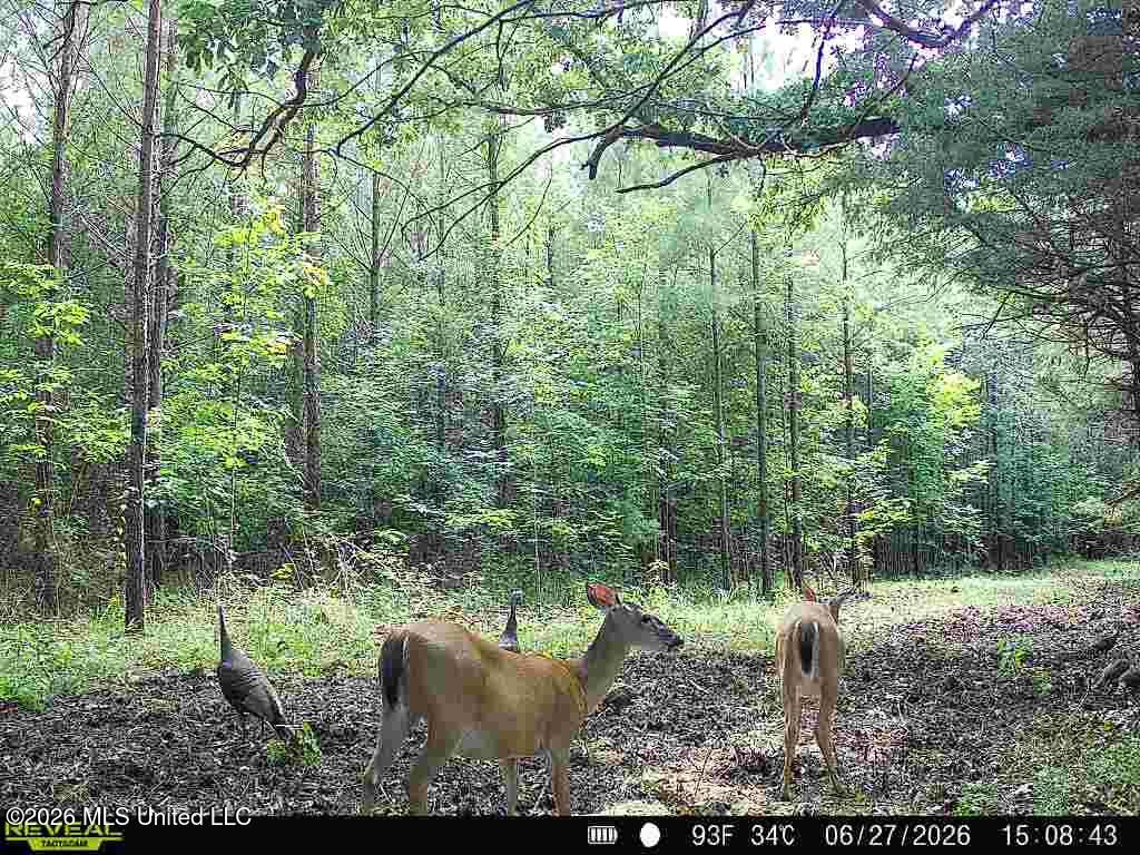 79 County Road 2349 Property Photo 58