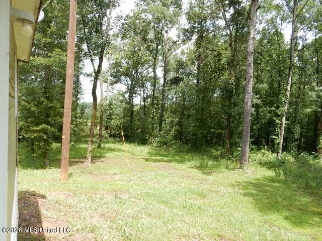 202 Moore Street Property Photo 37