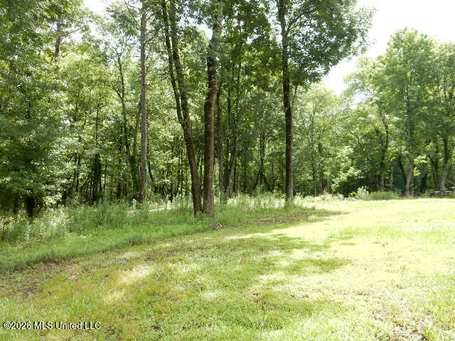 202 Moore Street Property Photo 39