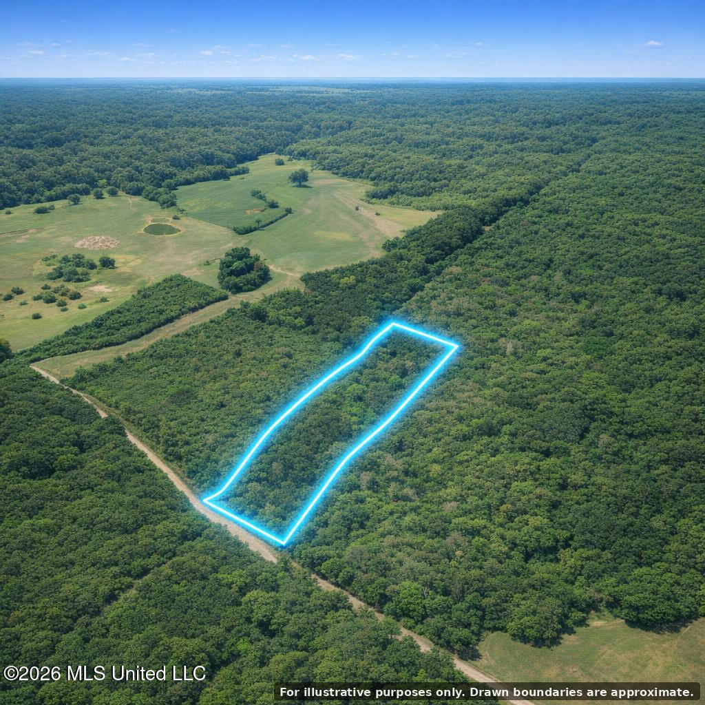 Shady Grove Trail Property Photo 2