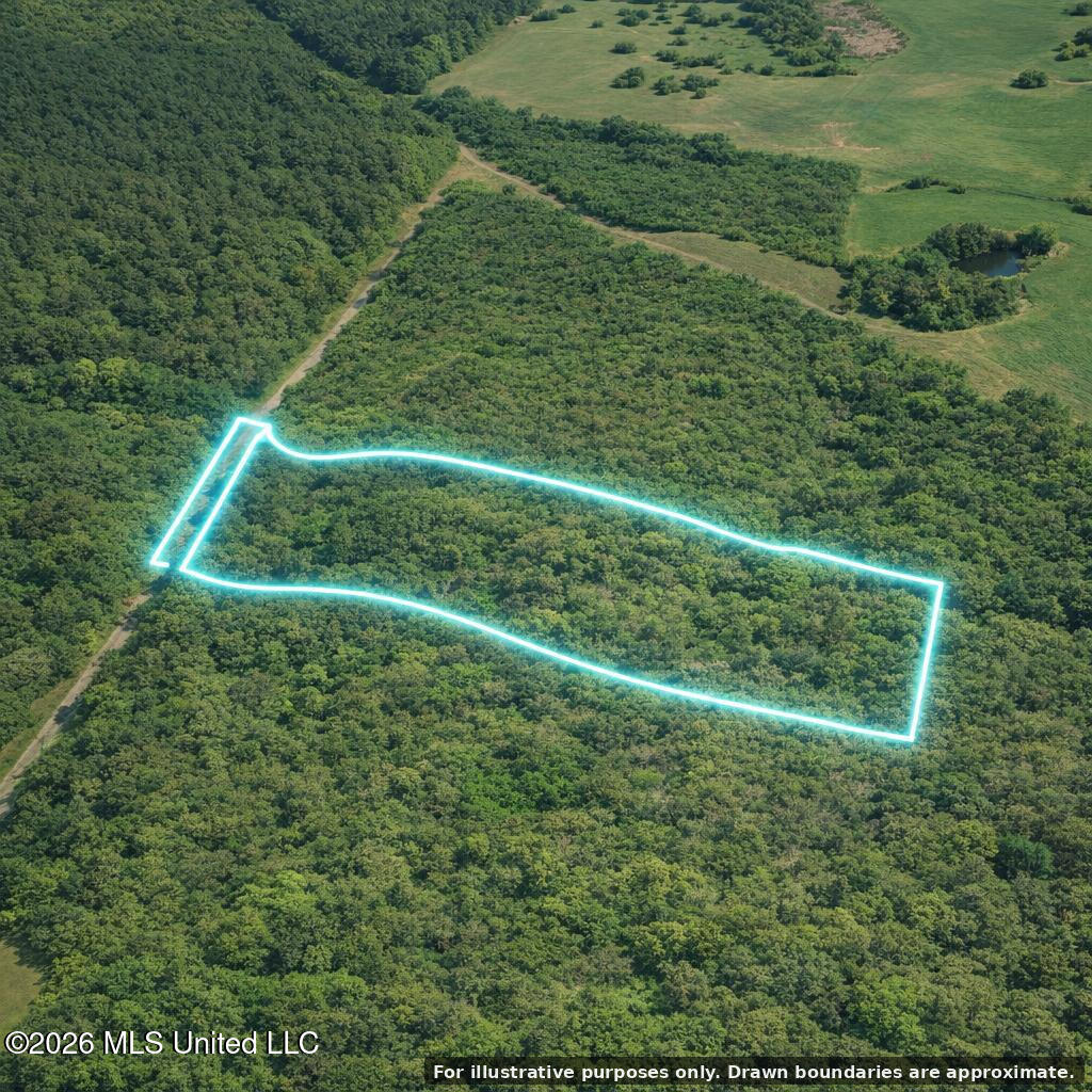 Shady Grove Trail Property Photo 3