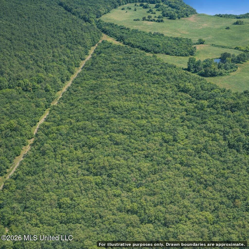 Shady Grove Trail Property Photo 4