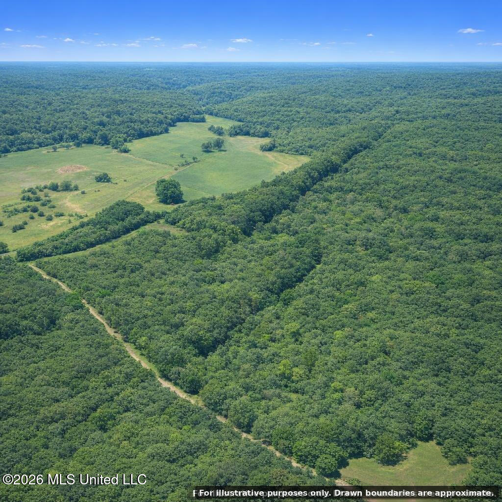 Shady Grove Trail Property Photo 5