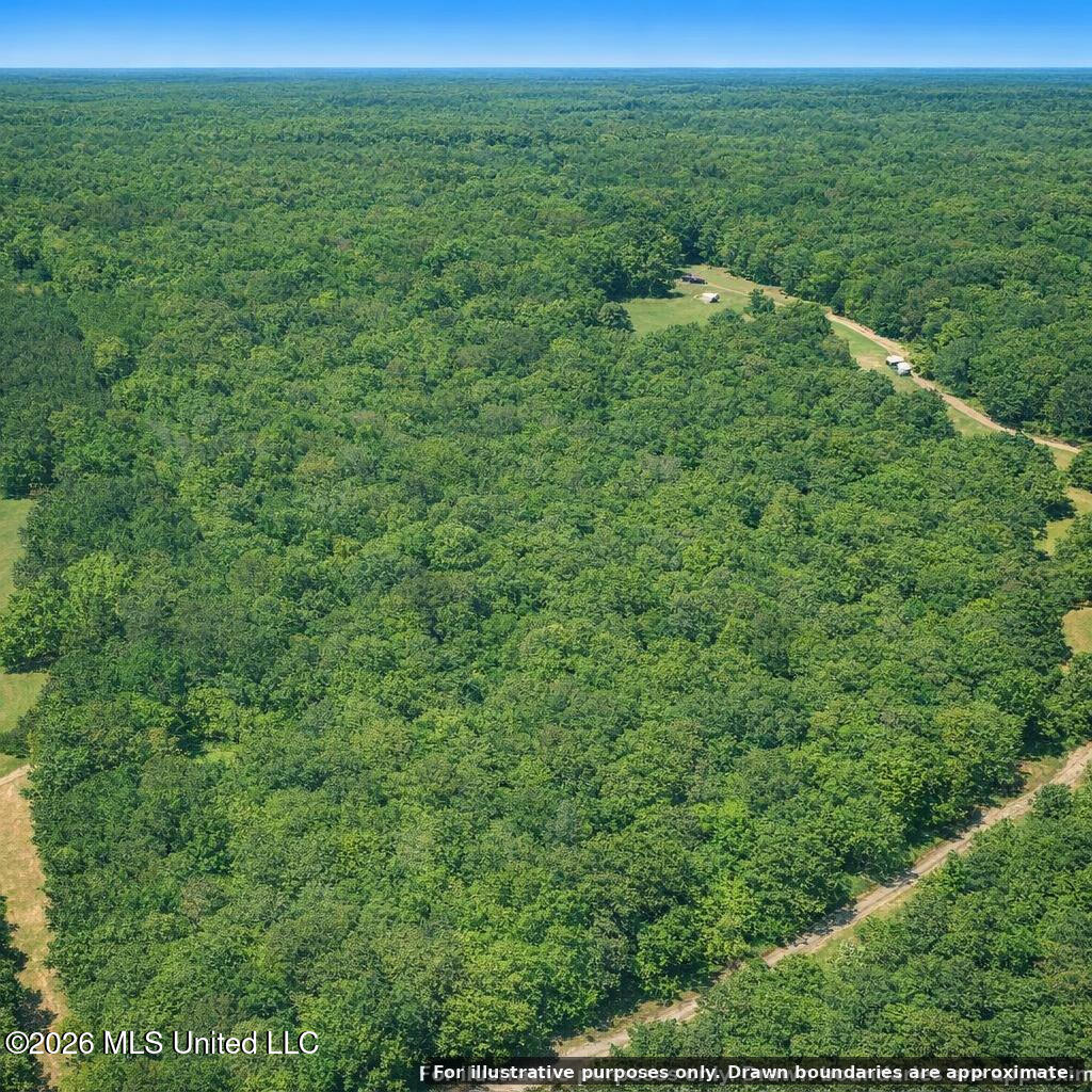 Shady Grove Trail Property Photo 6