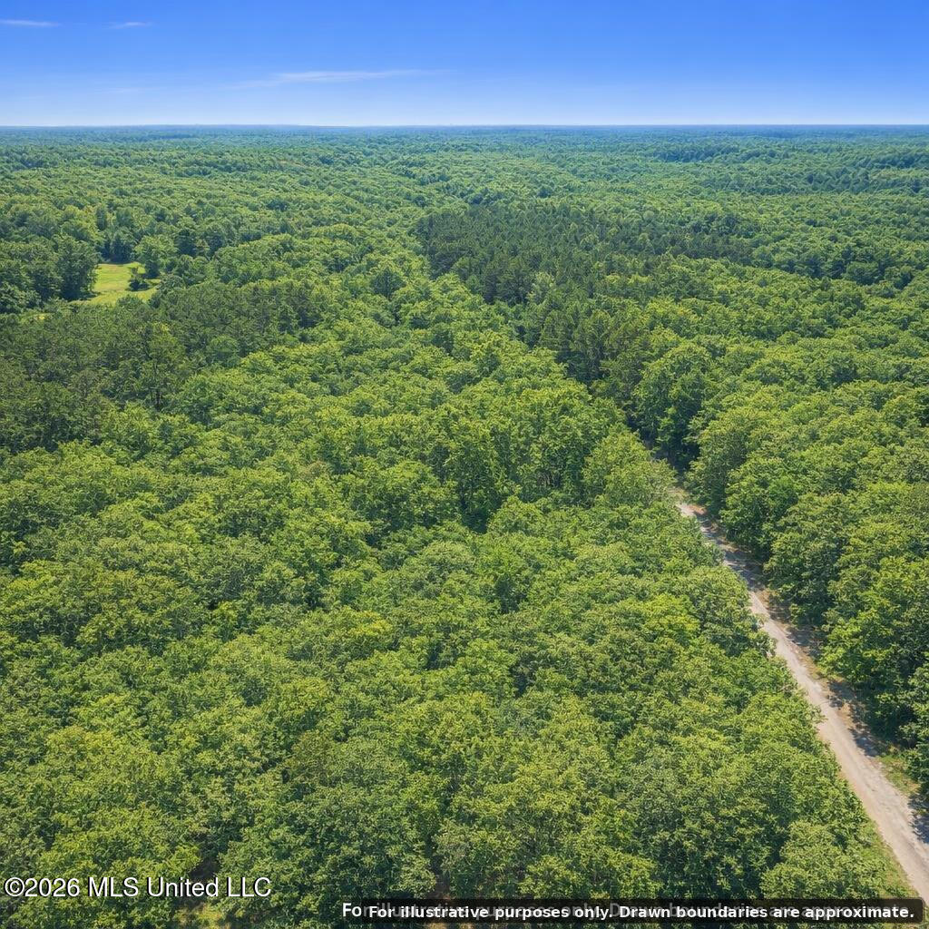 Shady Grove Trail Property Photo 7