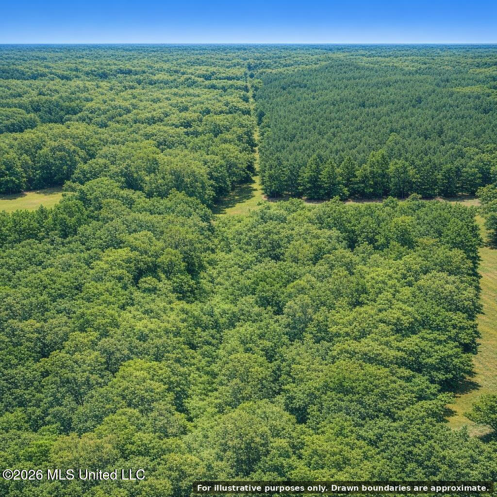 Shady Grove Trail Property Photo 8