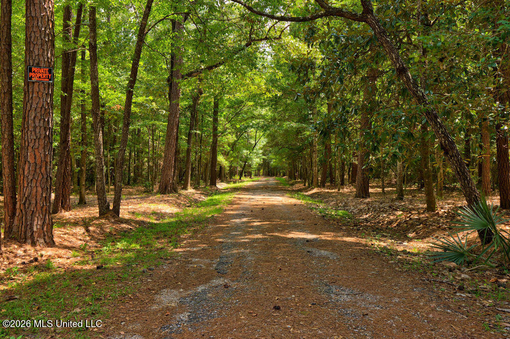 16100 Bayou Cocoa Point Property Photo 6
