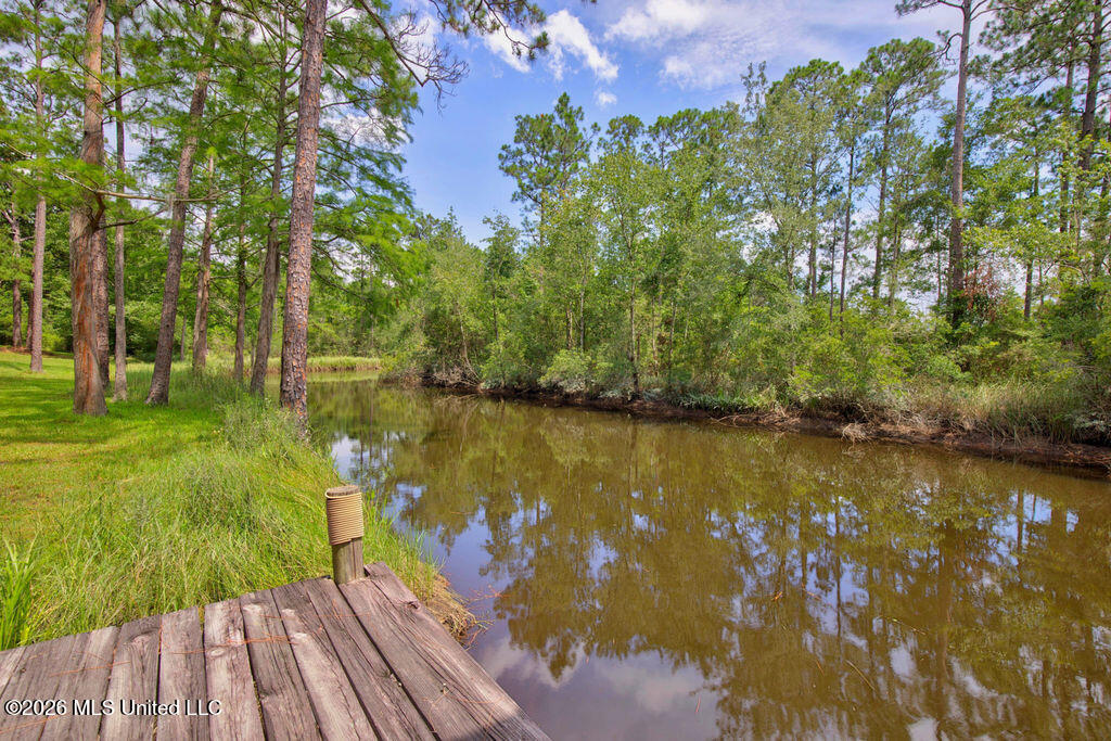 16100 Bayou Cocoa Point Property Photo 36