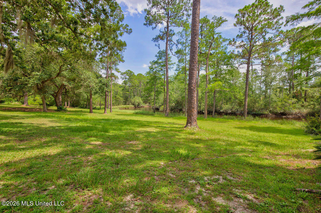 16100 Bayou Cocoa Point Property Photo 39