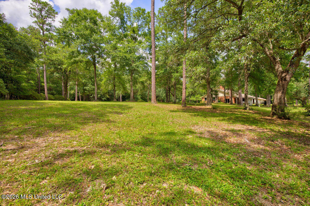 16100 Bayou Cocoa Point Property Photo 40