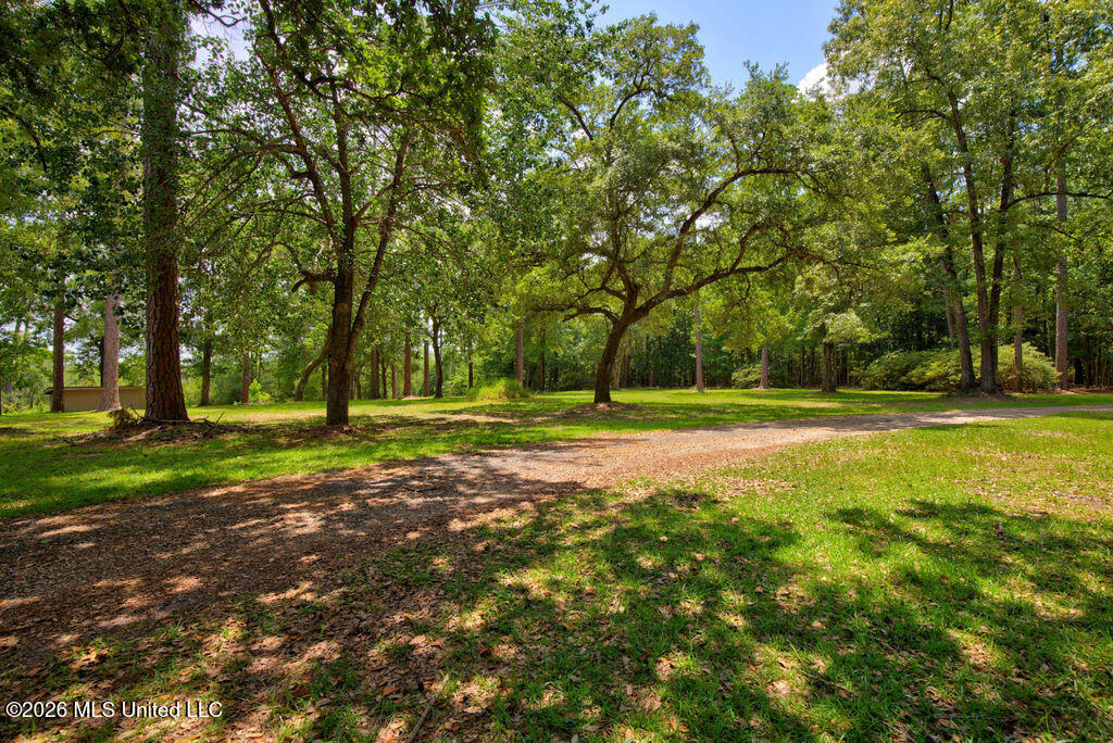16100 Bayou Cocoa Point Property Photo 55