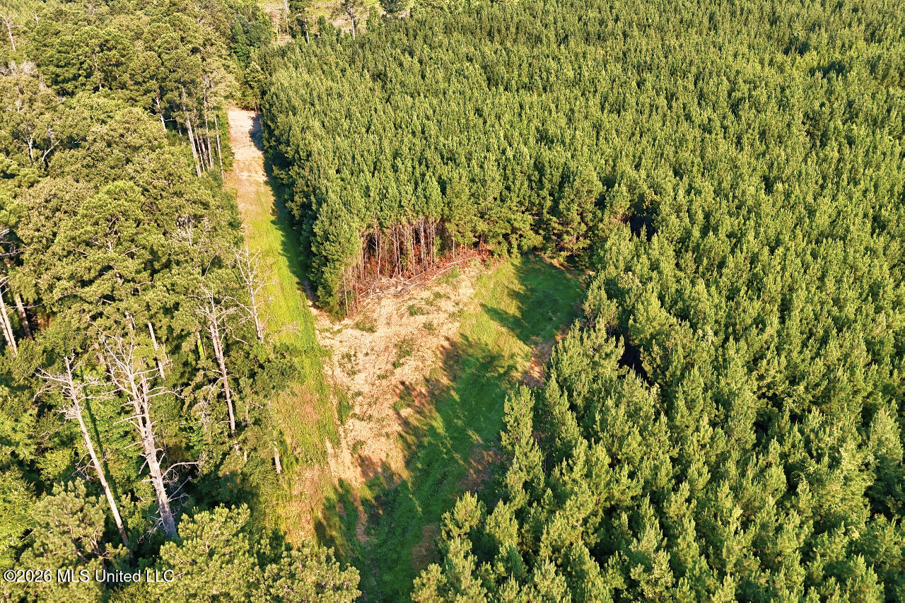 Nw Ben Briggs Road Property Photo 2