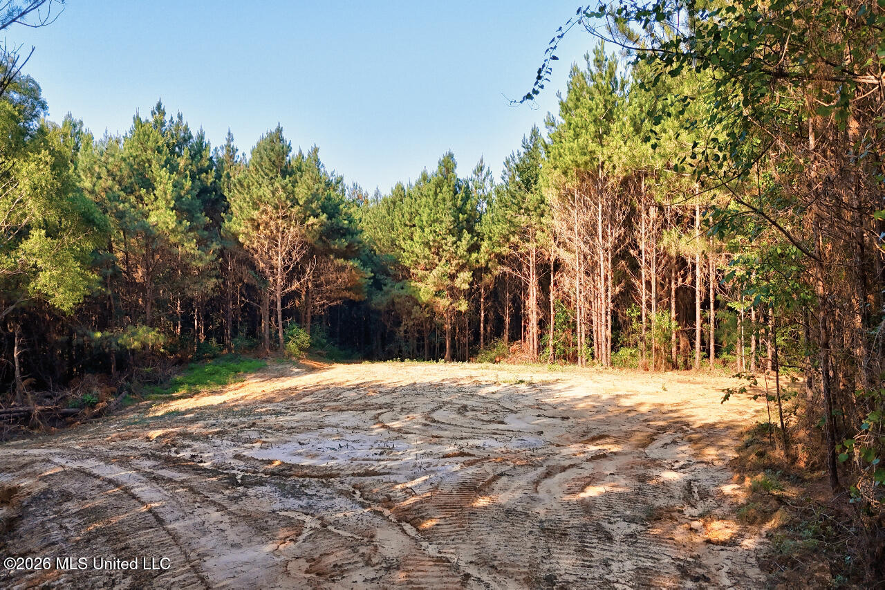 Nw Ben Briggs Road Property Photo 3