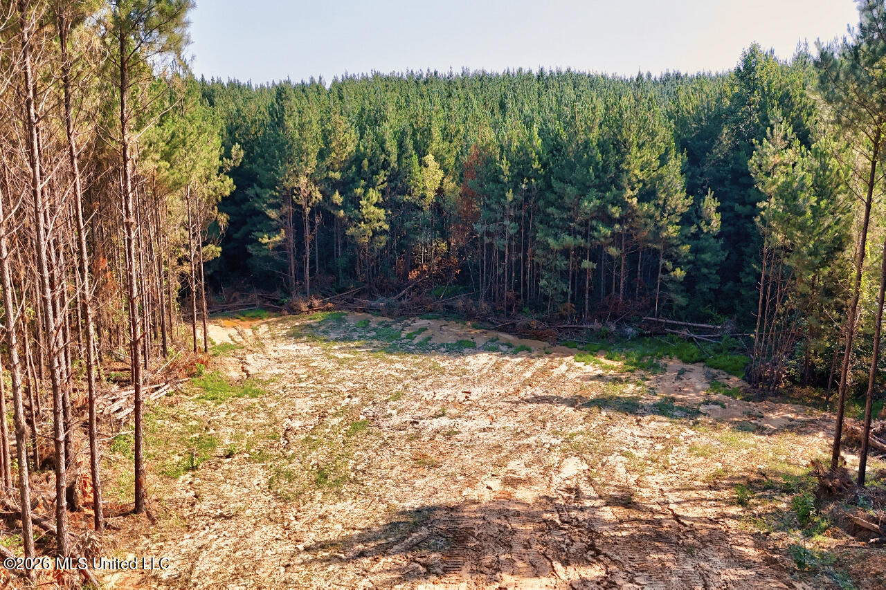 Nw Ben Briggs Road Property Photo 6