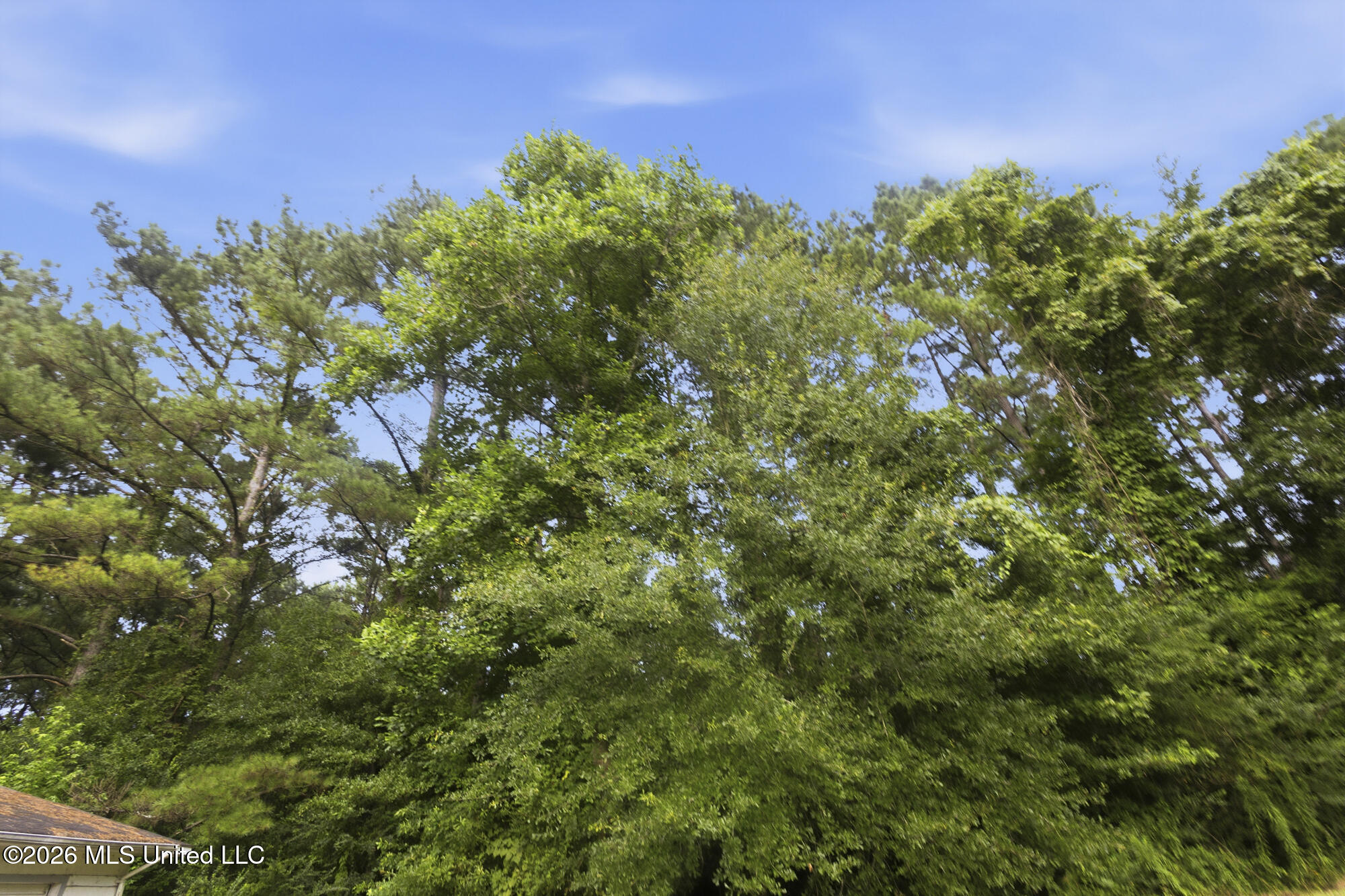 918 Zetus Road Property Photo 22