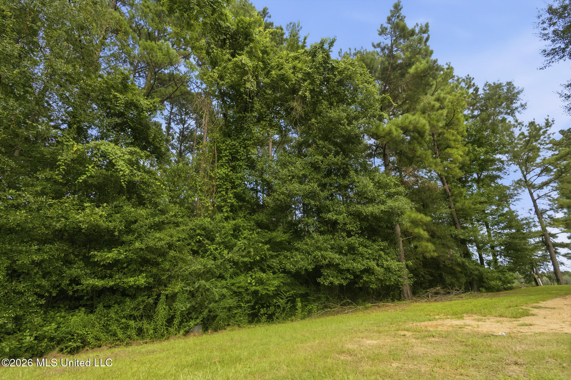918 Zetus Road Property Photo 23