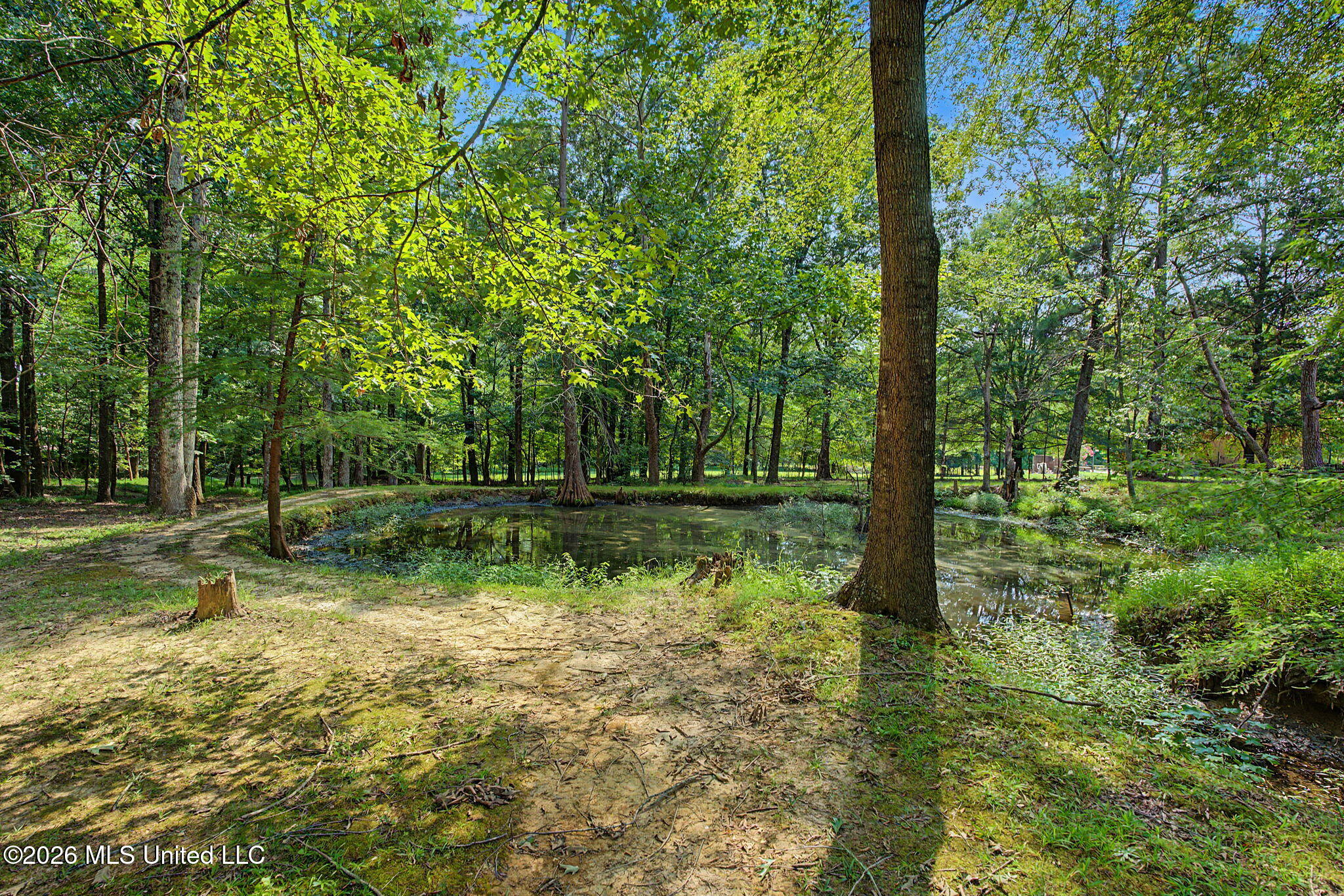 12985 Pine Crest Drive Property Photo 39