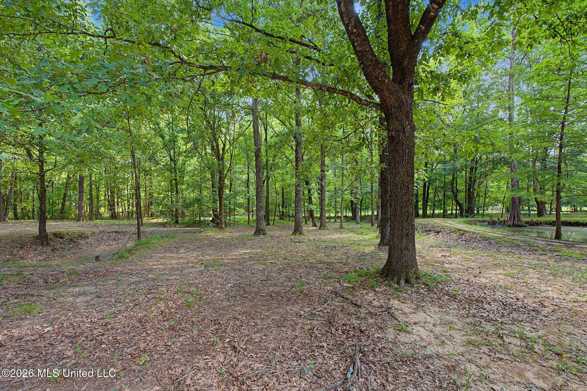 12985 Pine Crest Drive Property Photo 40