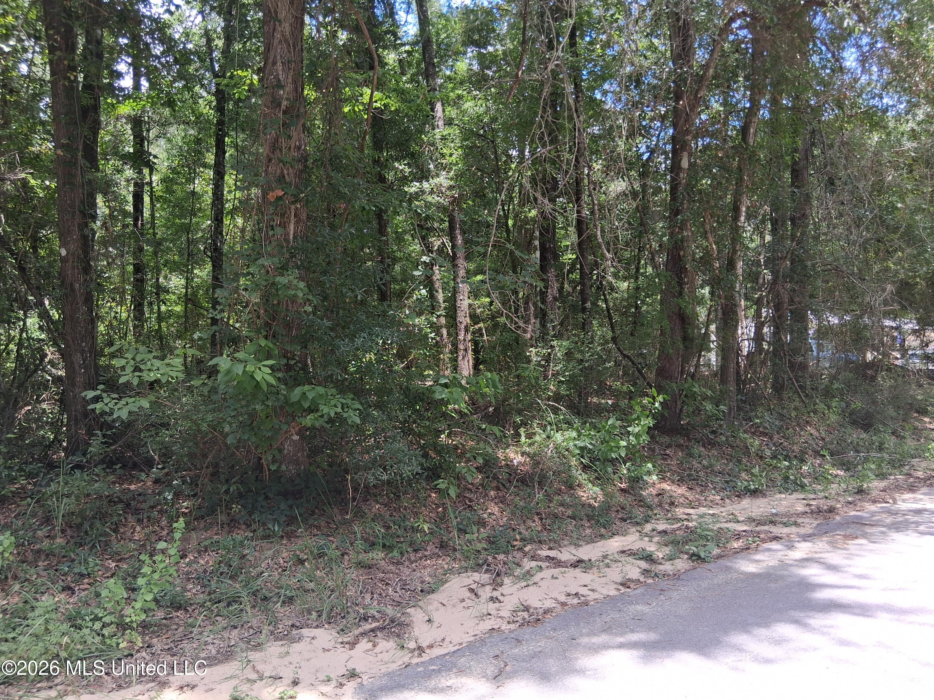 Singing River Drive Property Photo 3