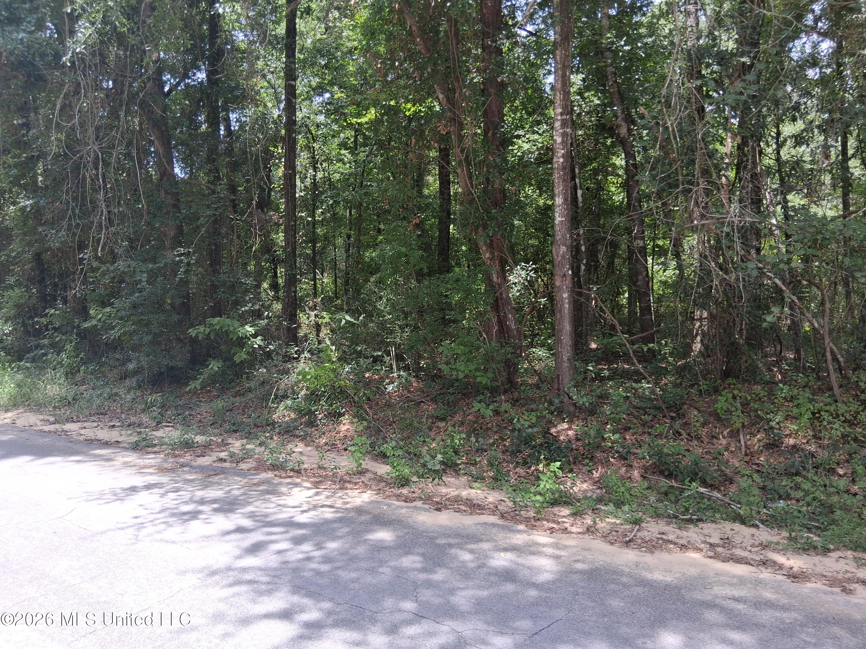 Singing River Drive Property Photo 5