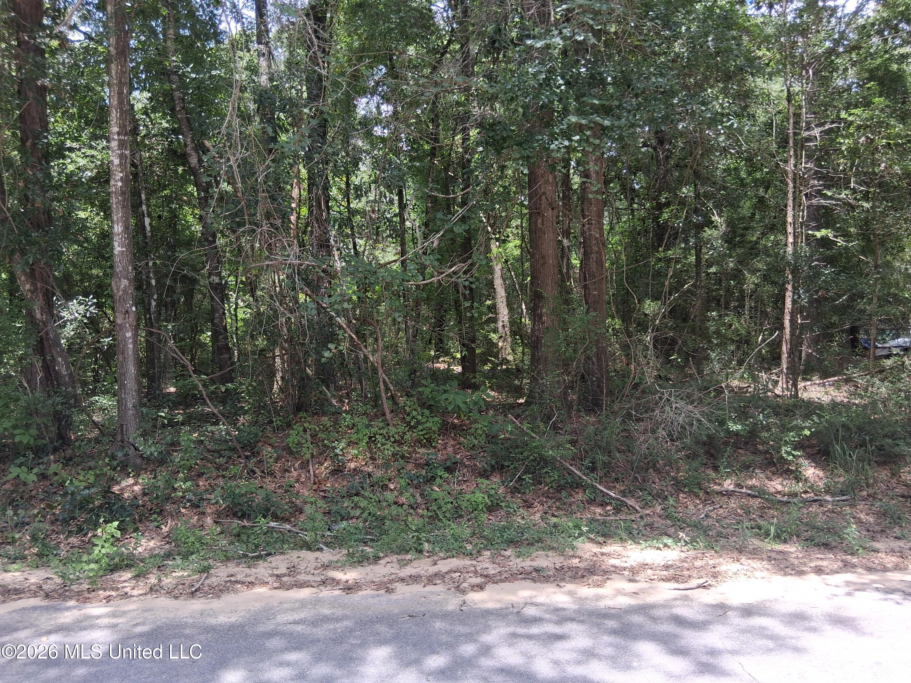 Singing River Drive Property Photo 6