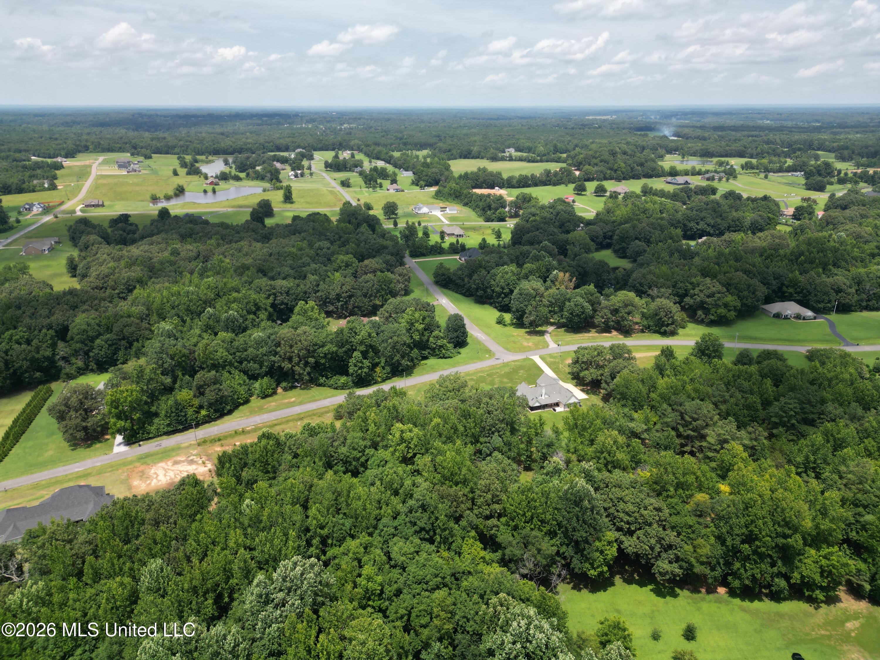Summer Oaks Drive Property Photo 4