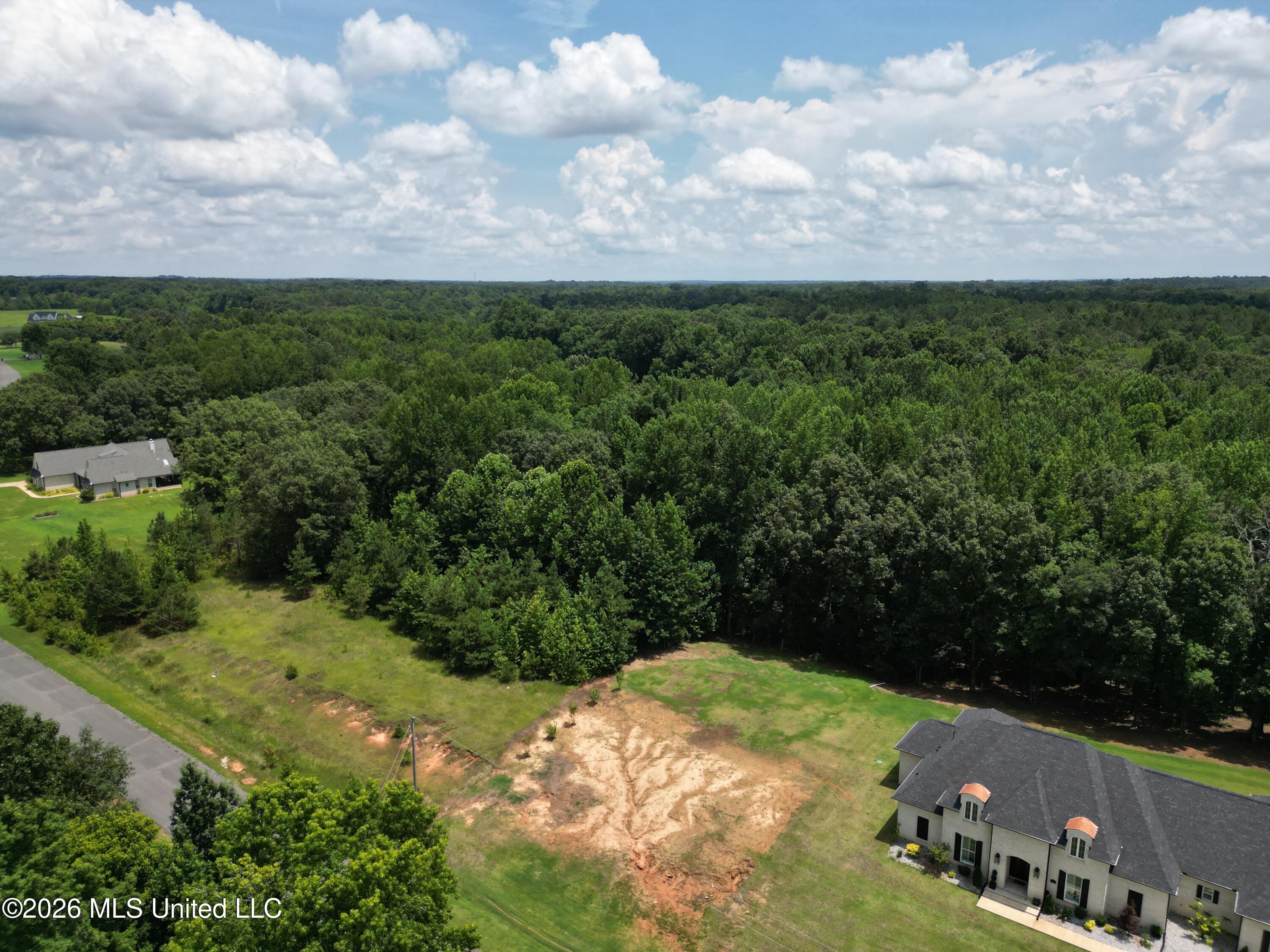 Summer Oaks Drive Property Photo 6