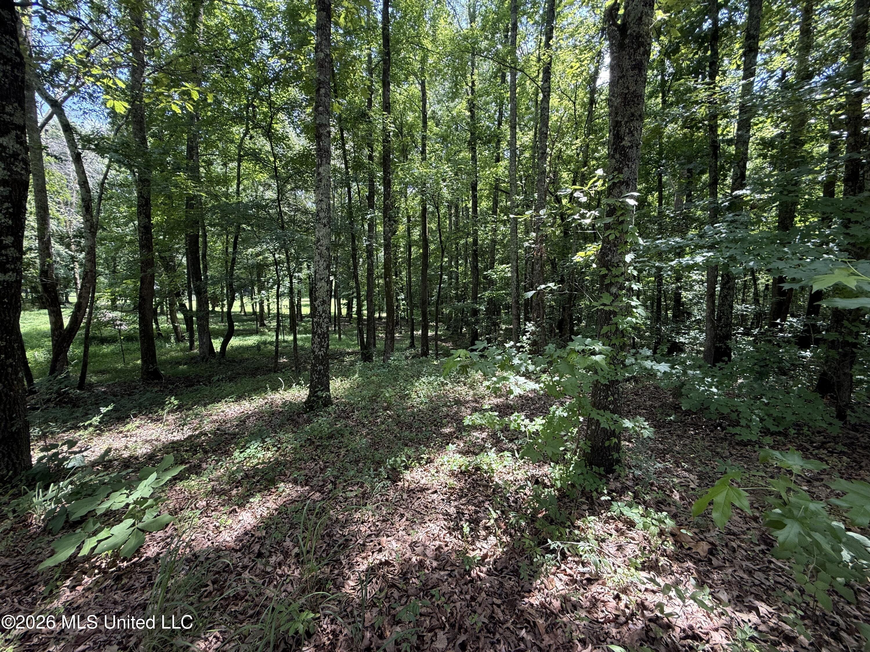 Summer Oaks Drive Property Photo 8