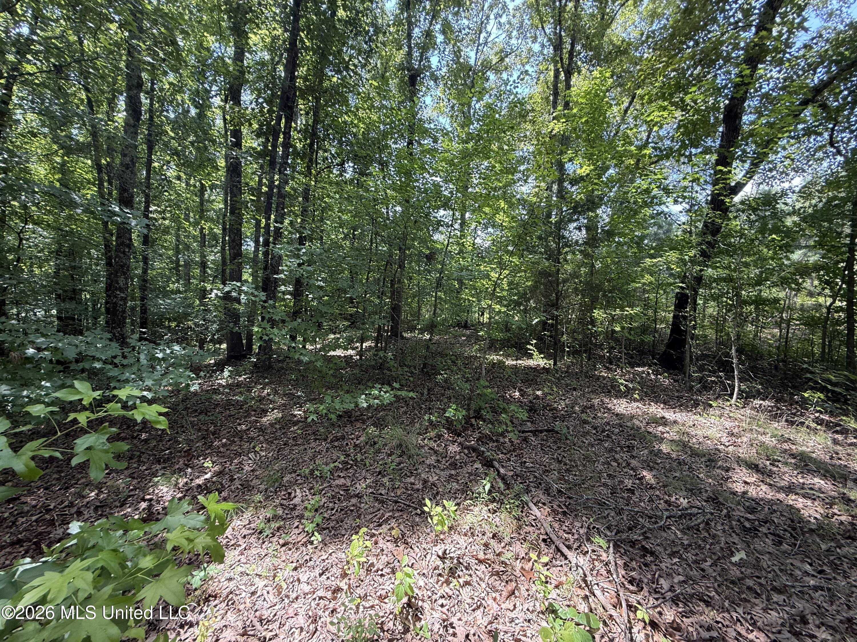 Summer Oaks Drive Property Photo 9