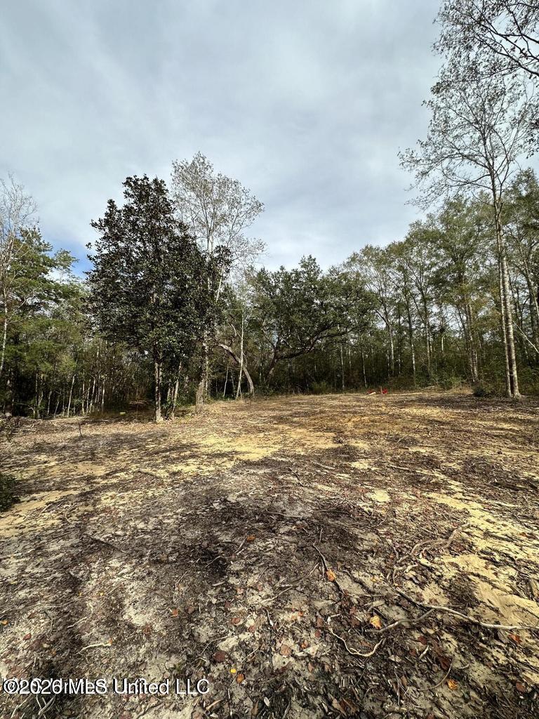 Wolf Run Boulevard Property Photo 4