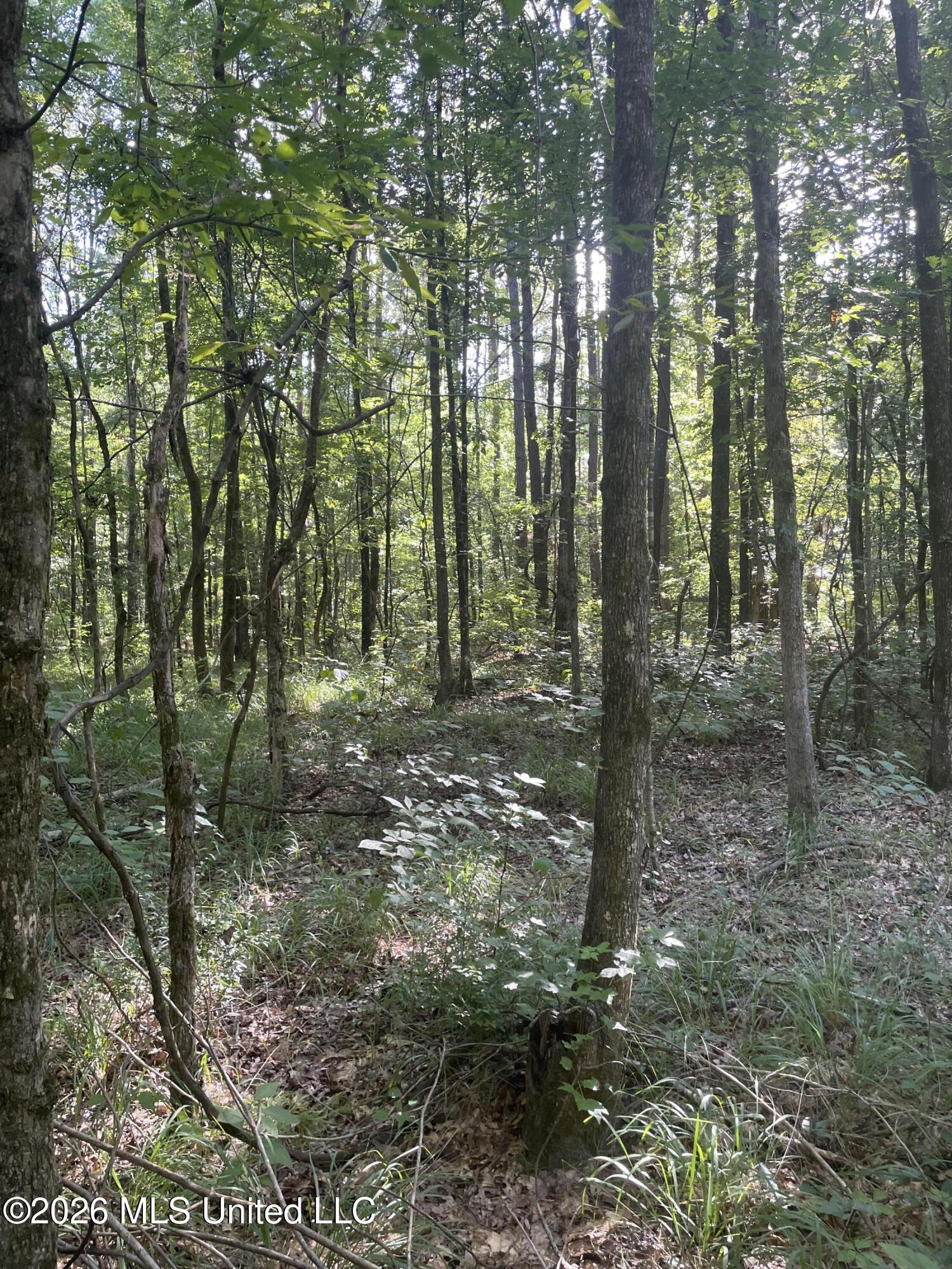 444 Jims Road Property Photo 2