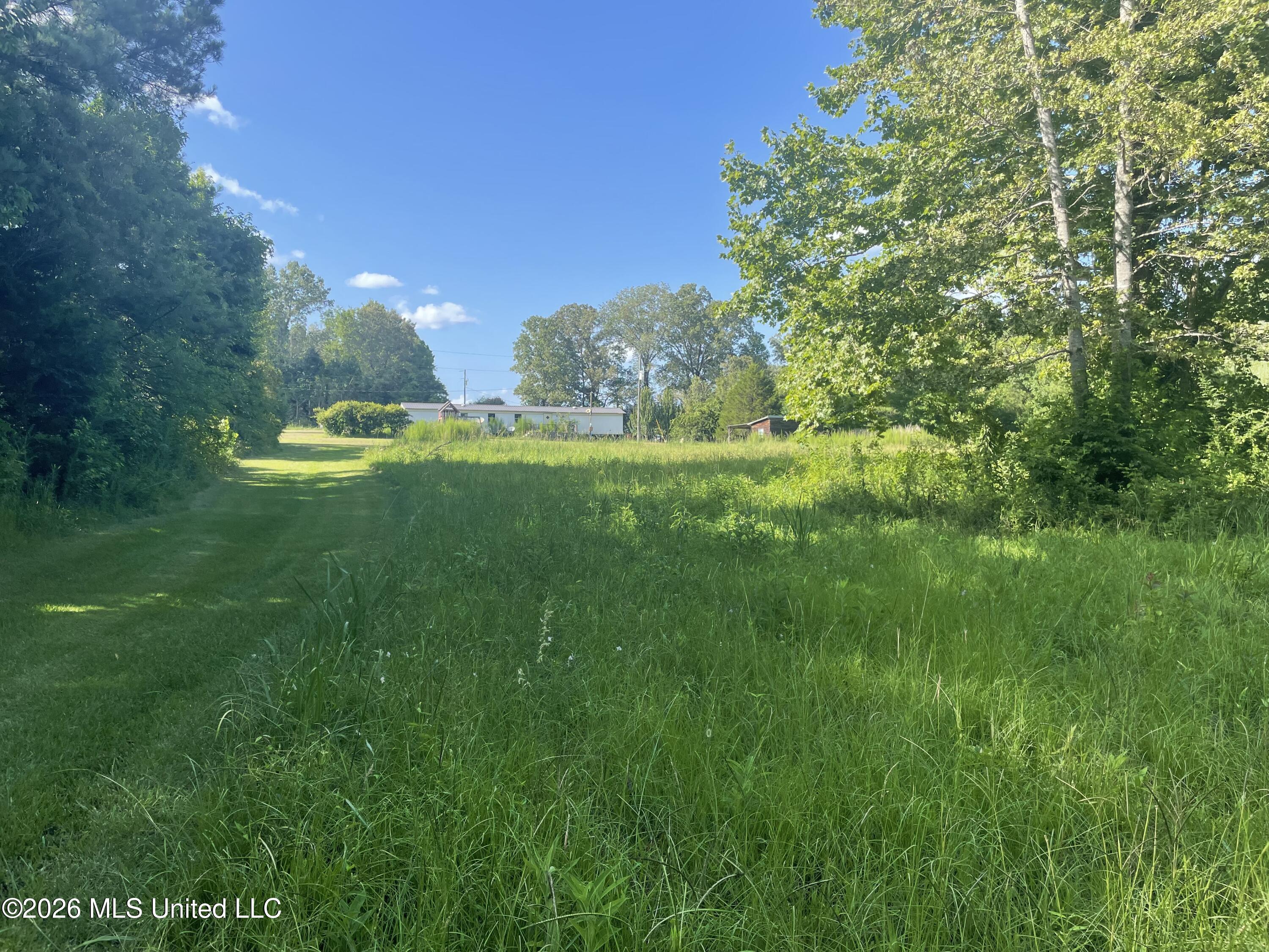 444 Jims Road Property Photo 5