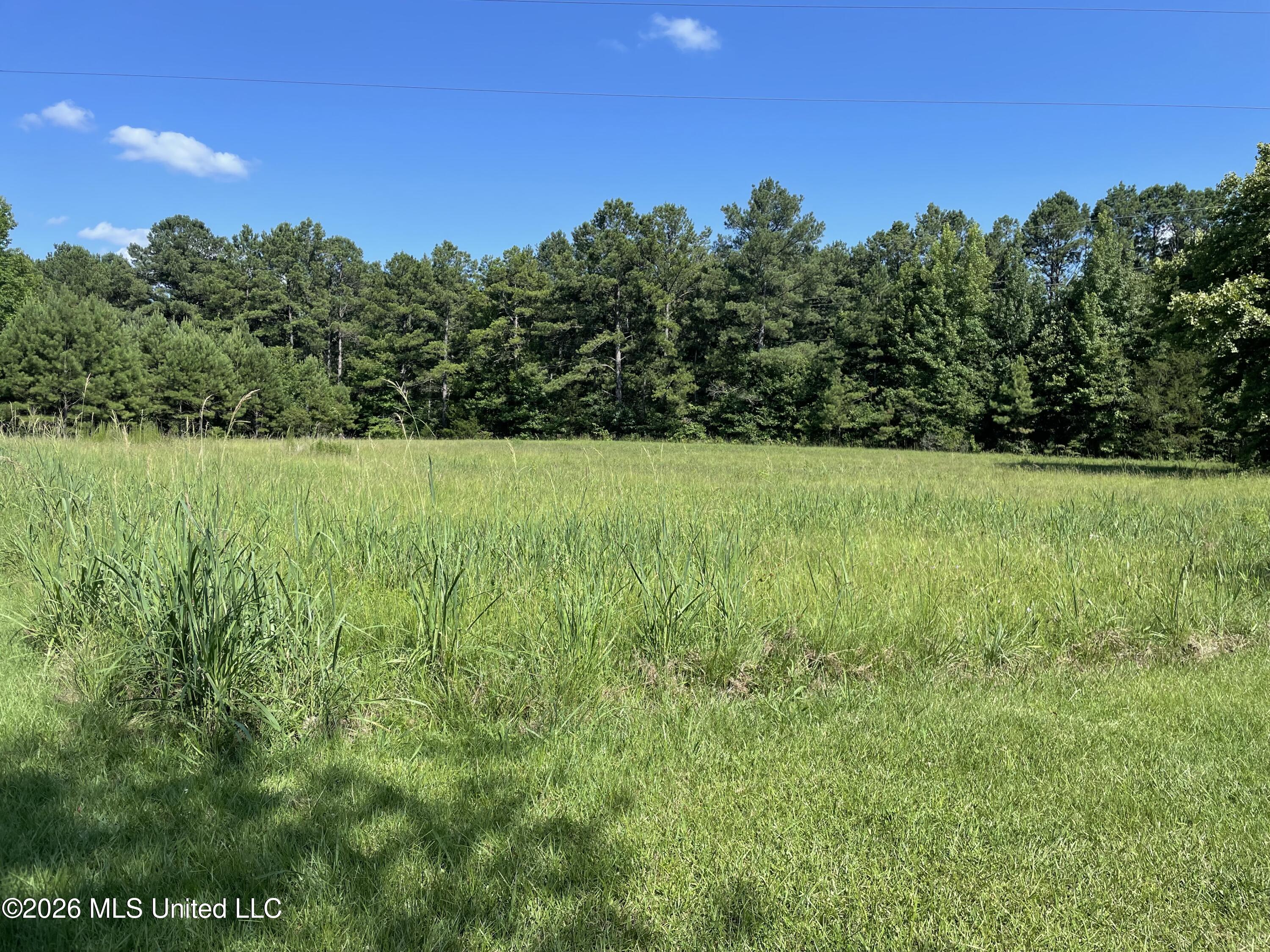 444 Jims Road Property Photo 7