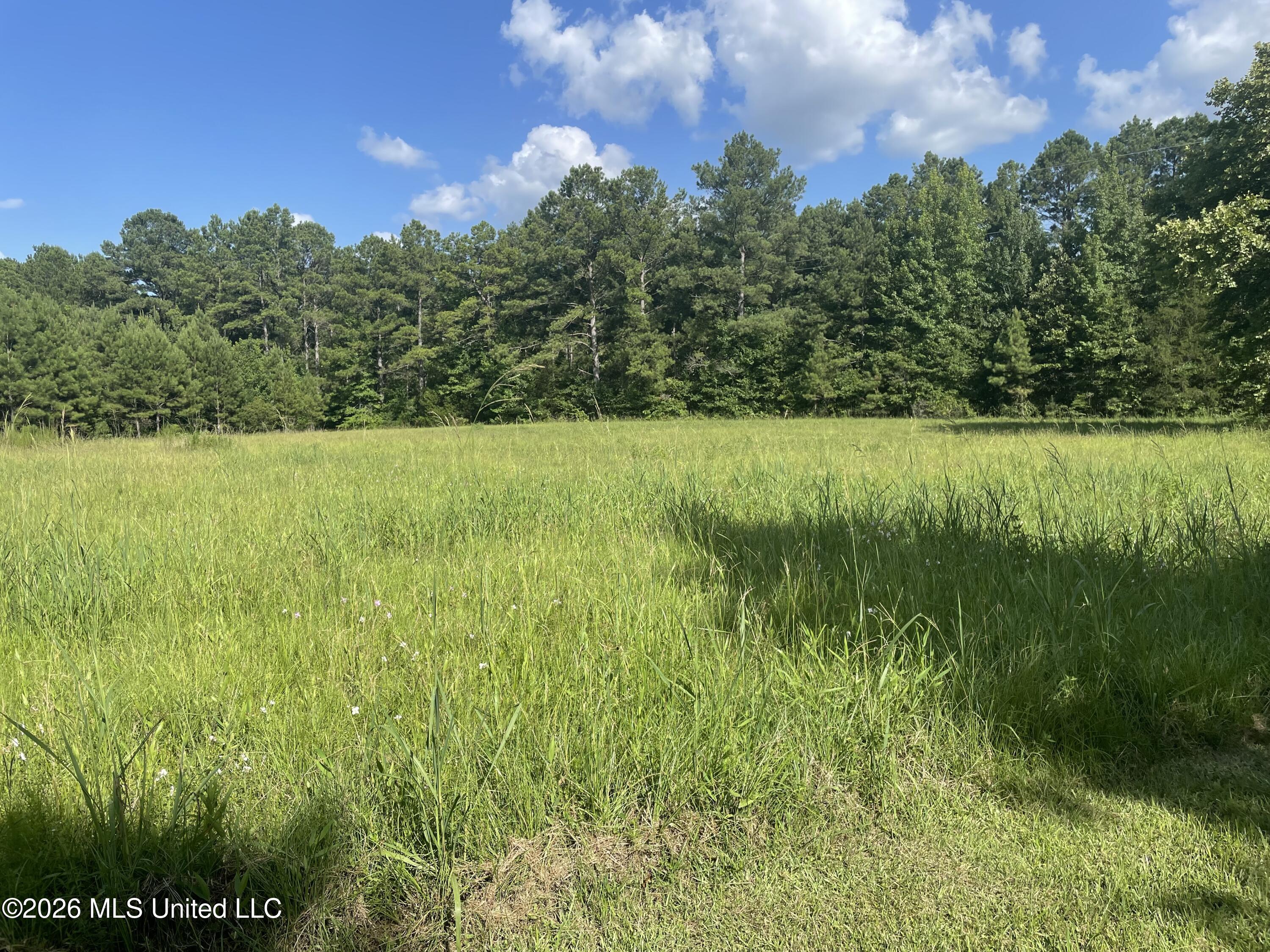 444 Jims Road Property Photo 8
