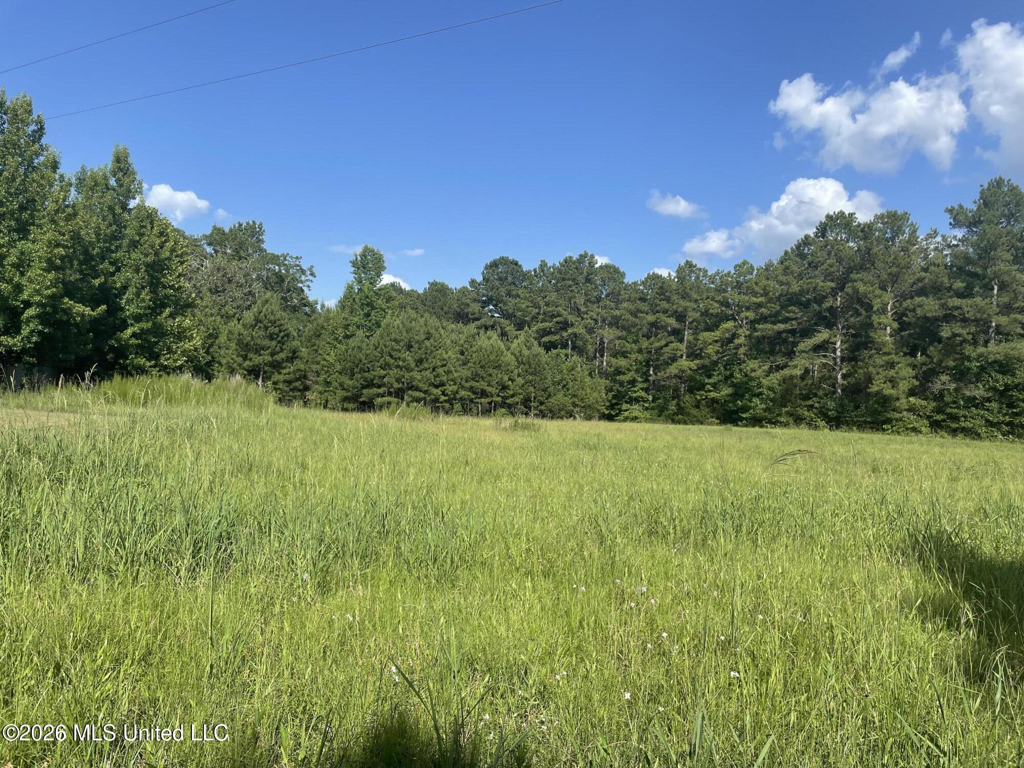 444 Jims Road Property Photo 10