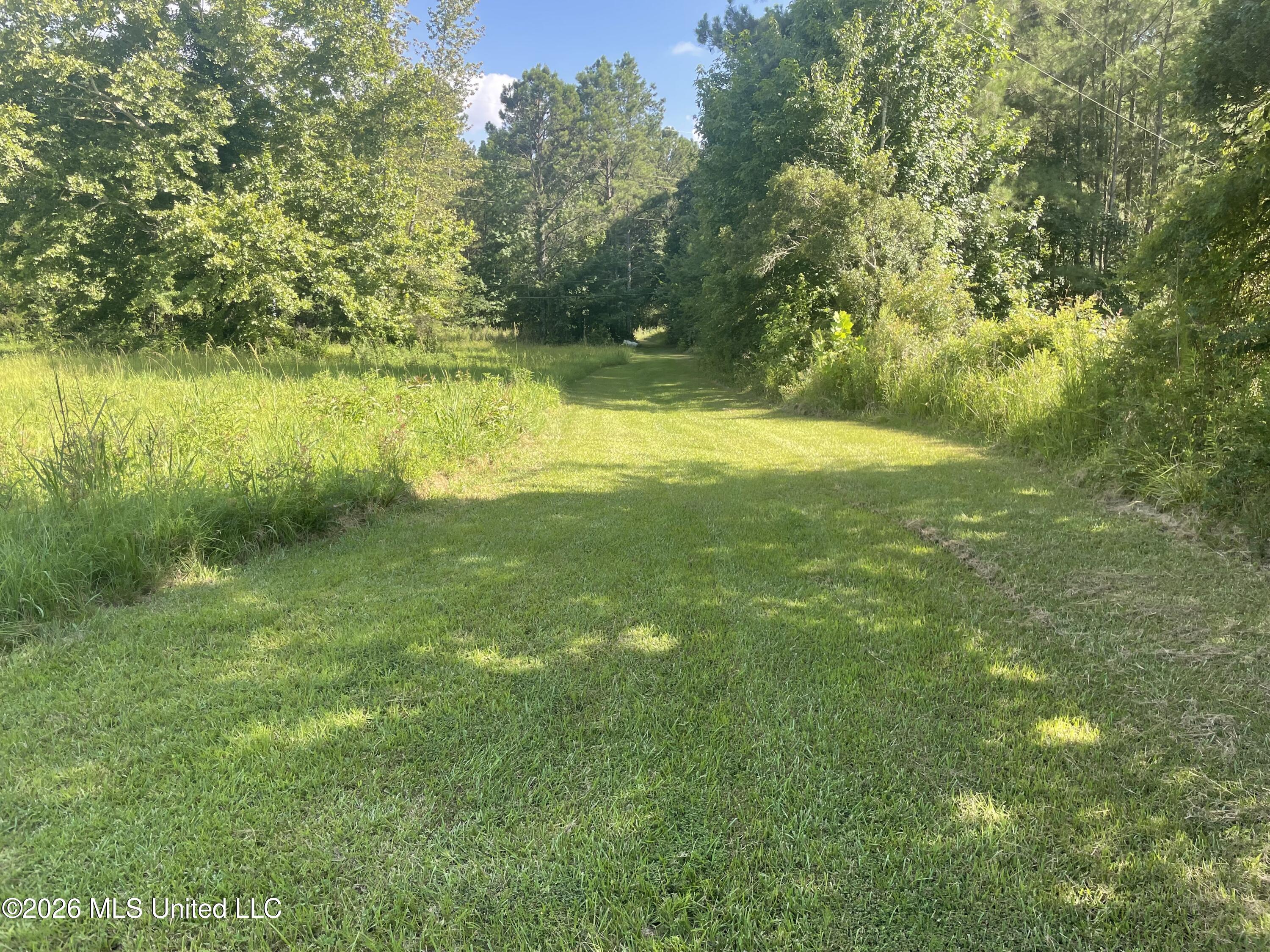 444 Jims Road Property Photo 11