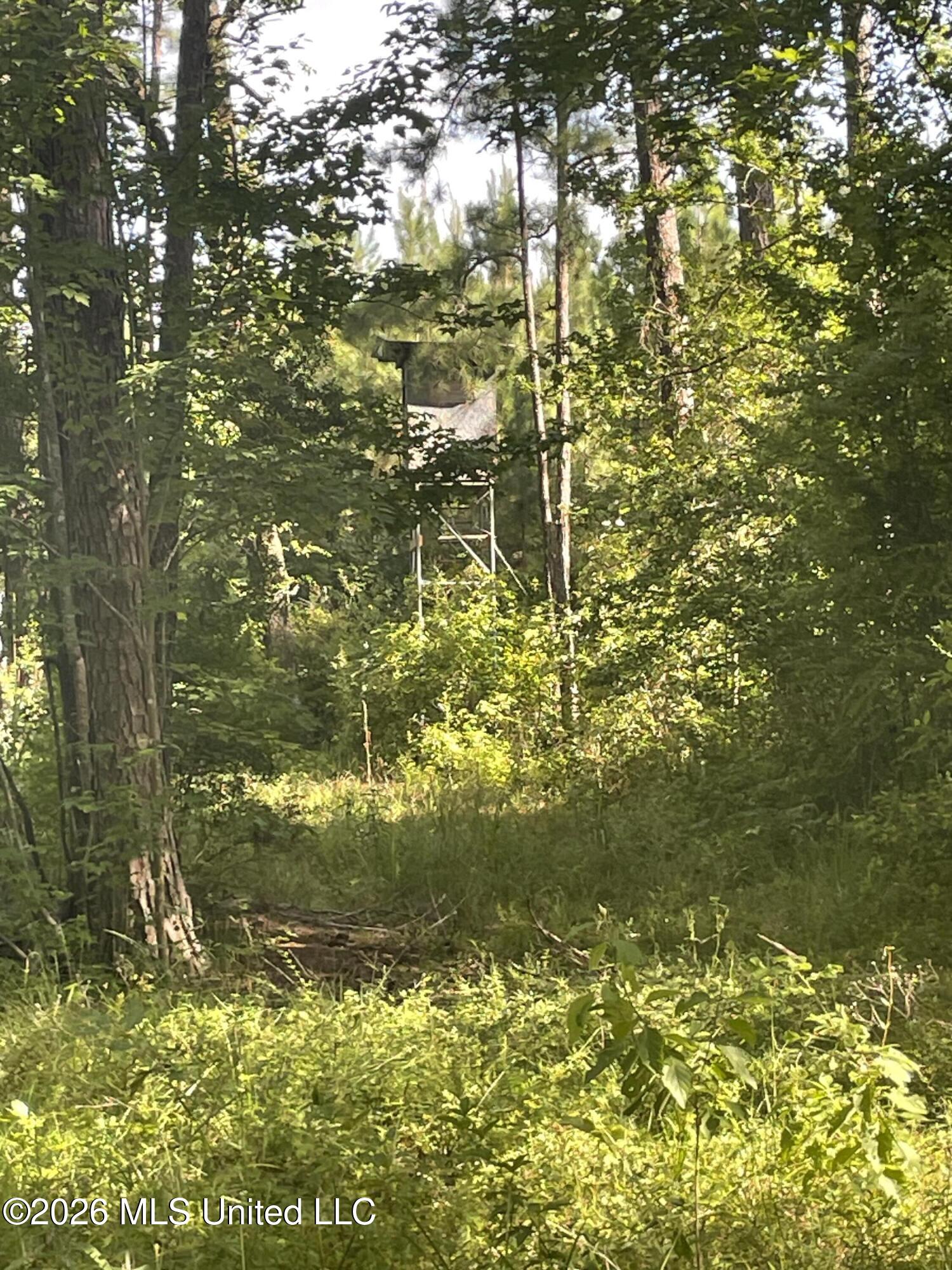 444 Jims Road Property Photo 12