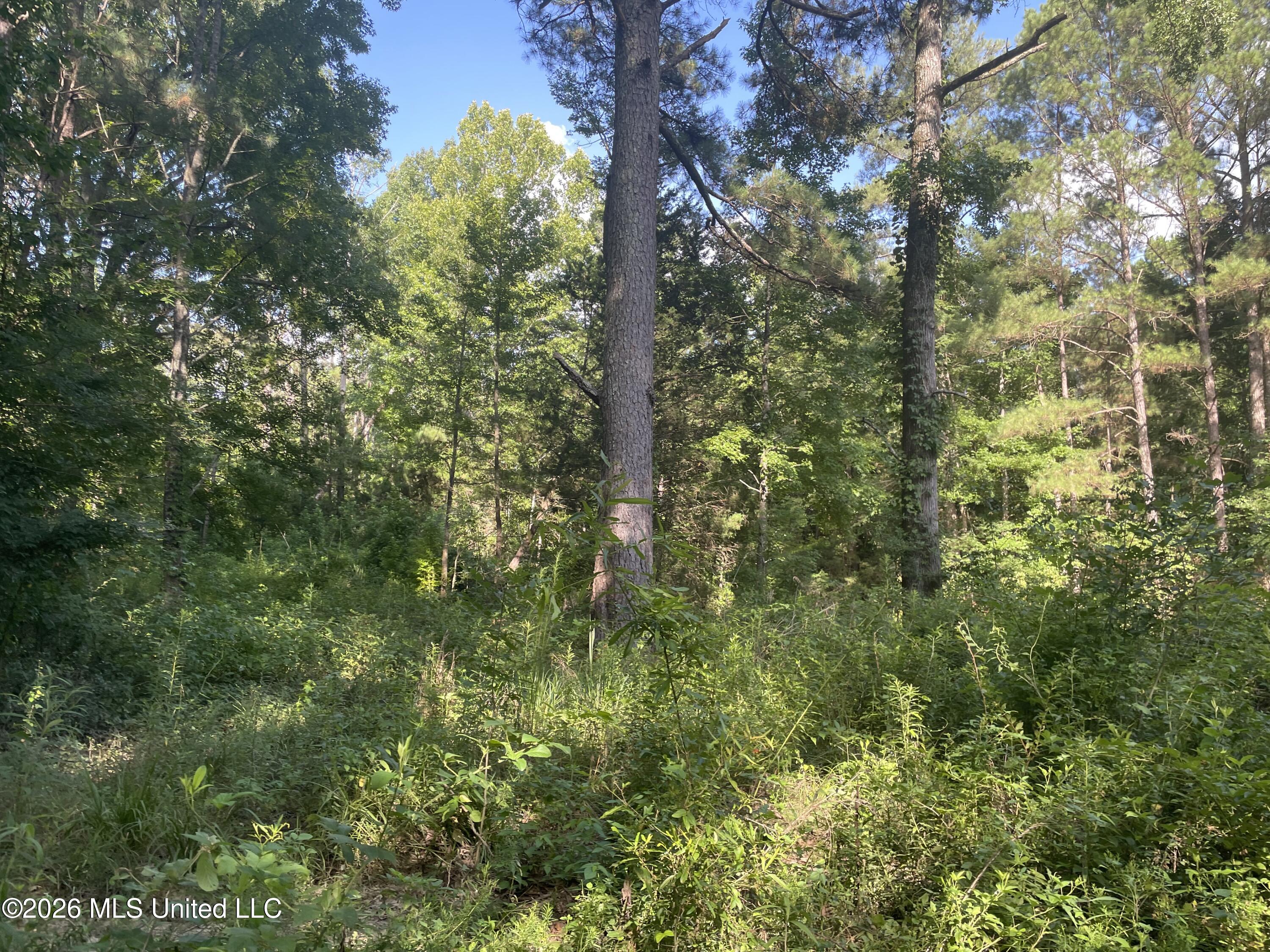 444 Jims Road Property Photo 14