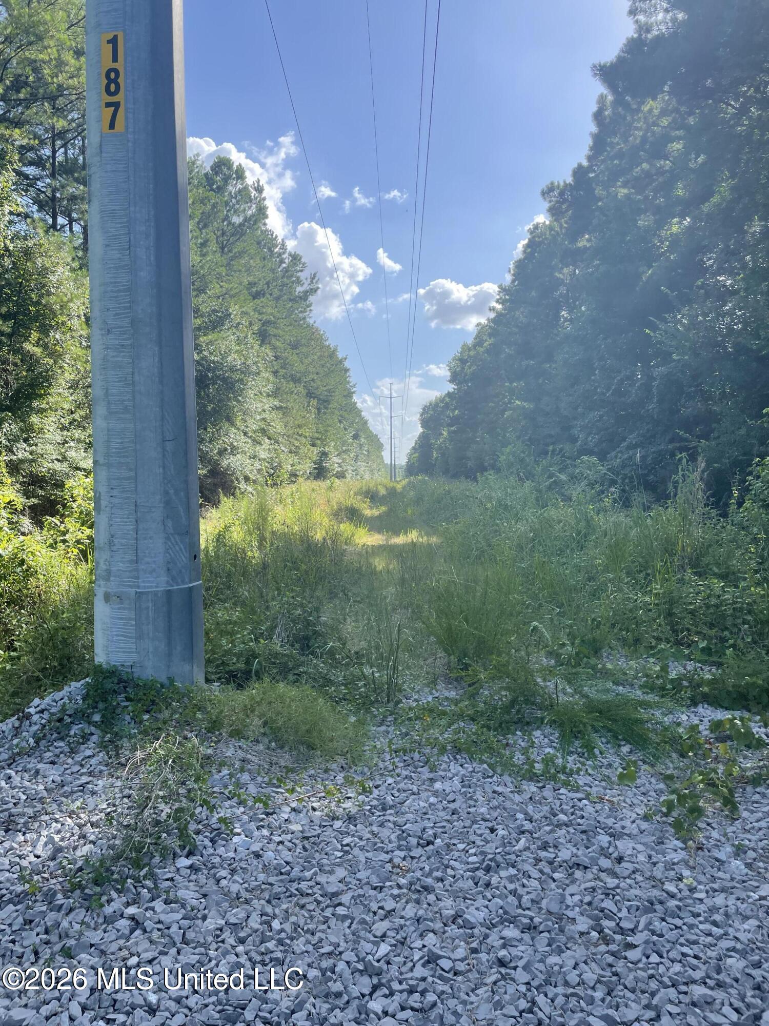 444 Jims Road Property Photo 16
