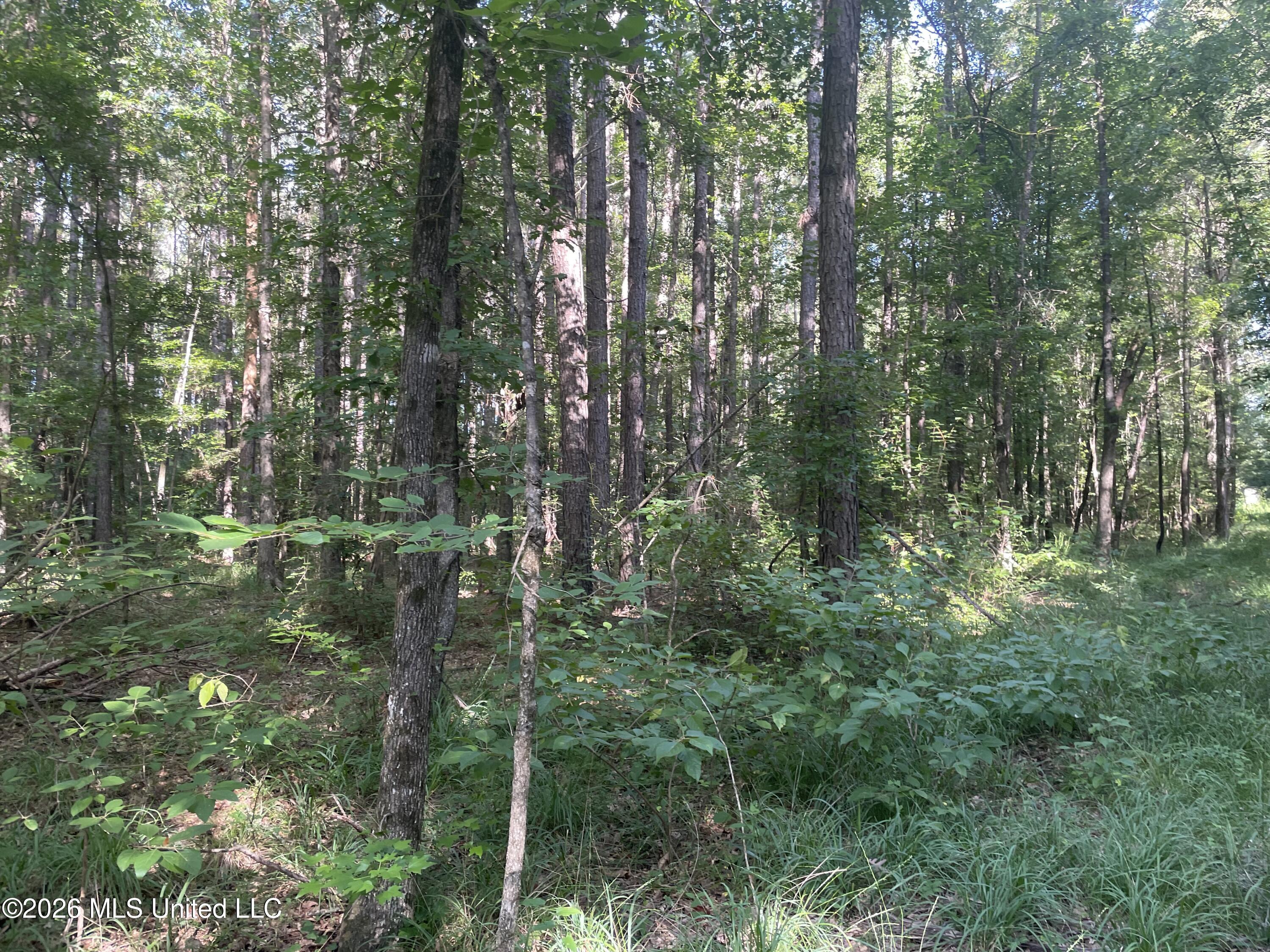 444 Jims Road Property Photo 17