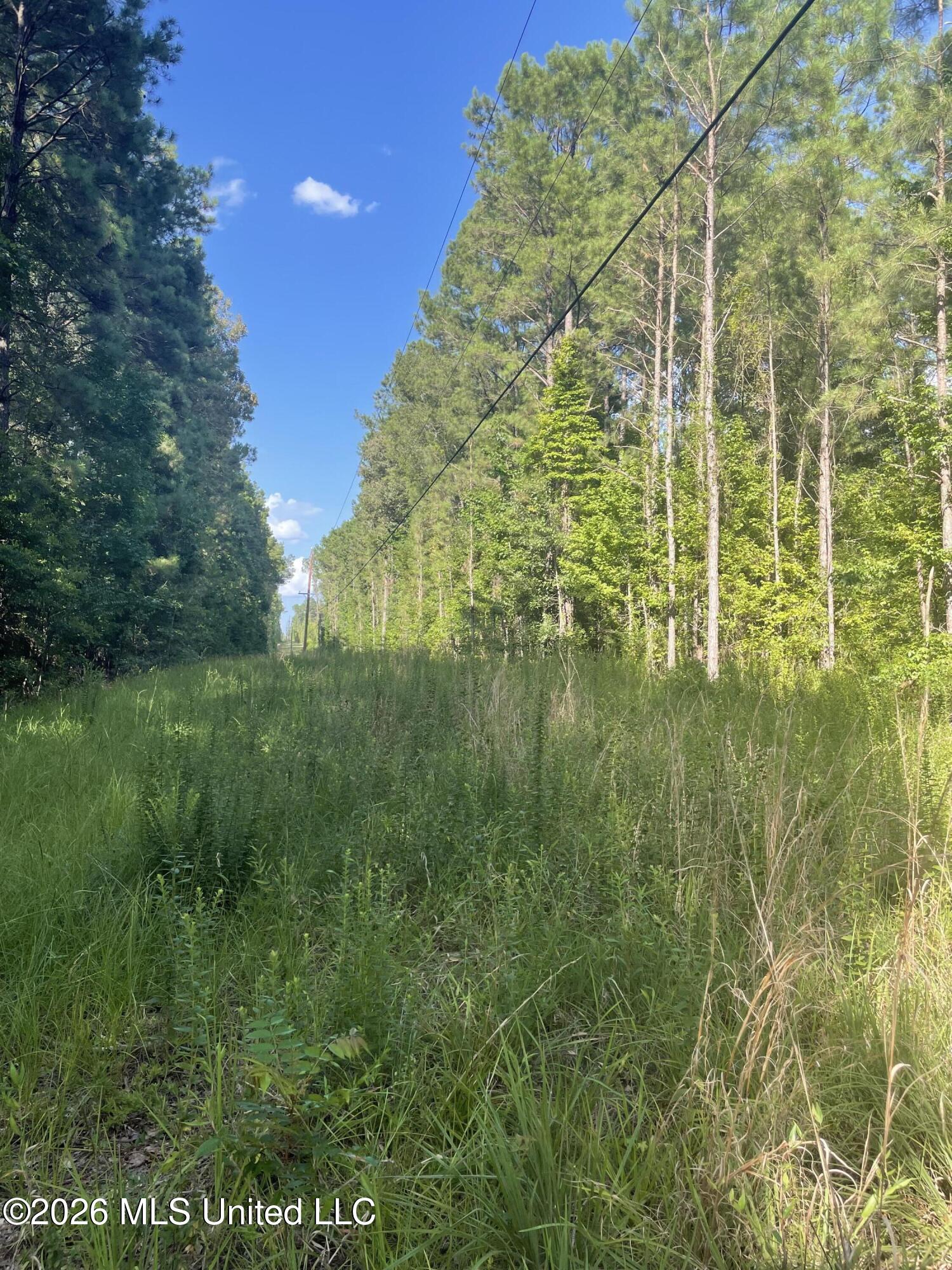 444 Jims Road Property Photo 21