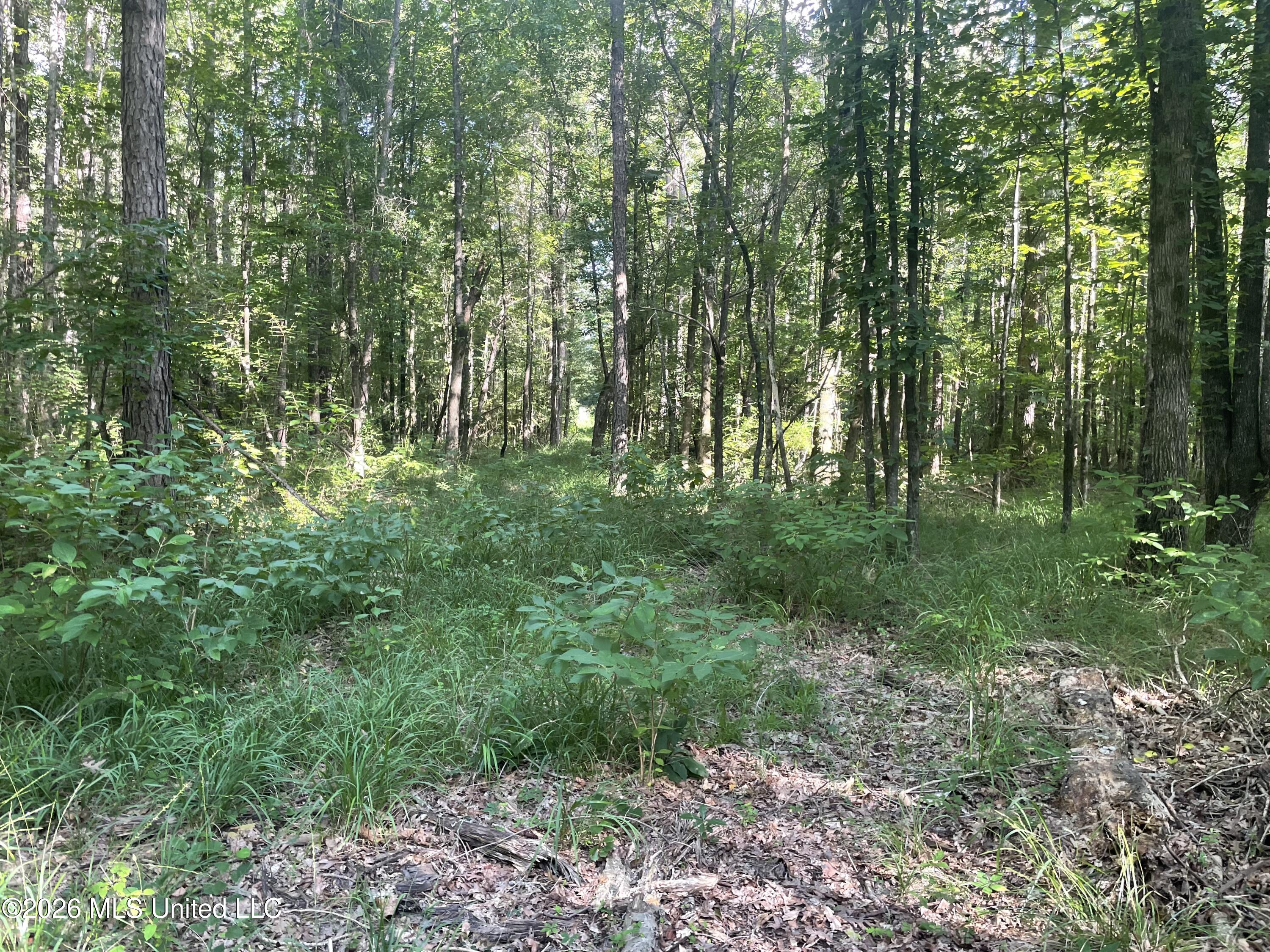 444 Jims Road Property Photo 23