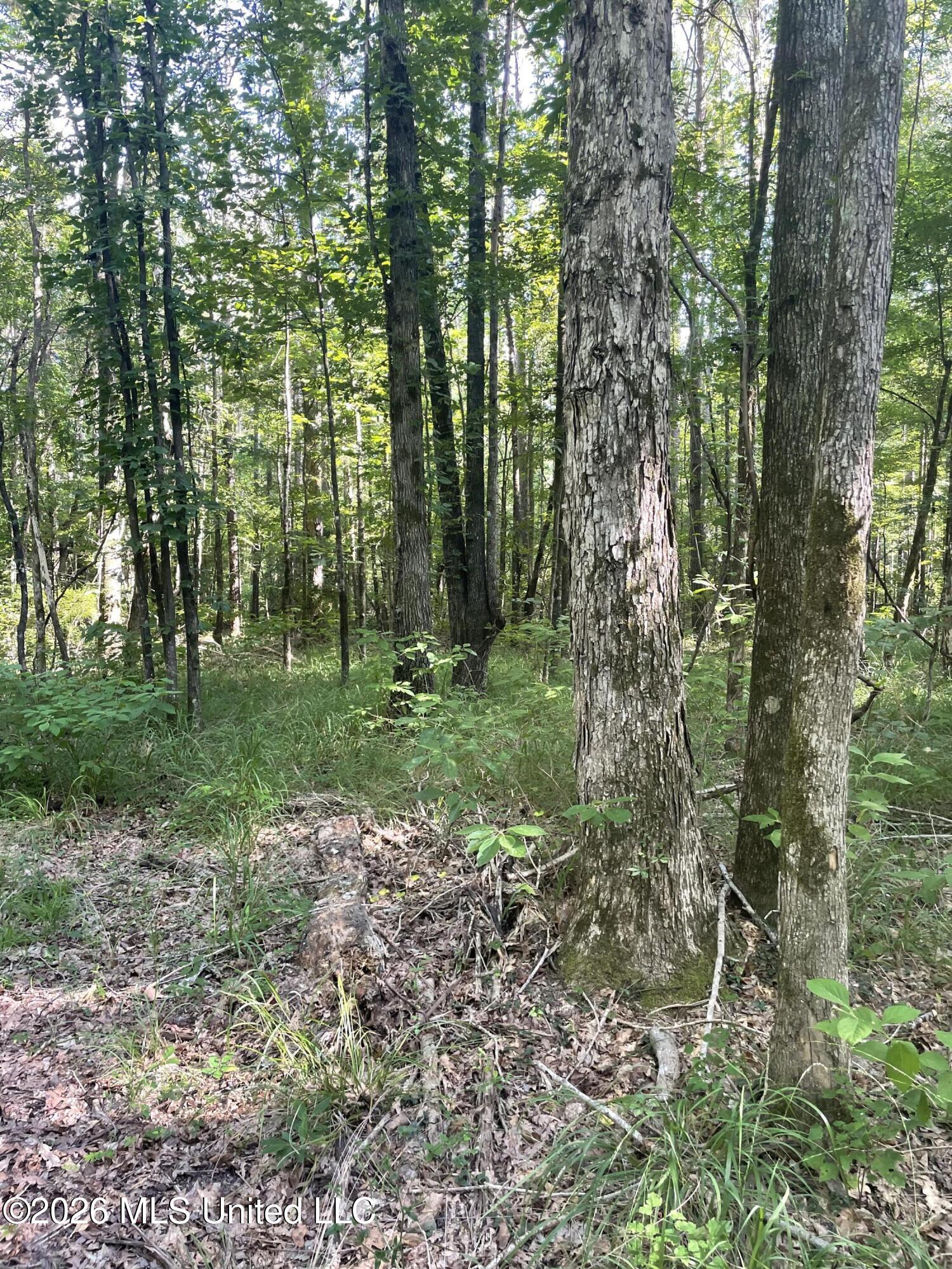 444 Jims Road Property Photo 24