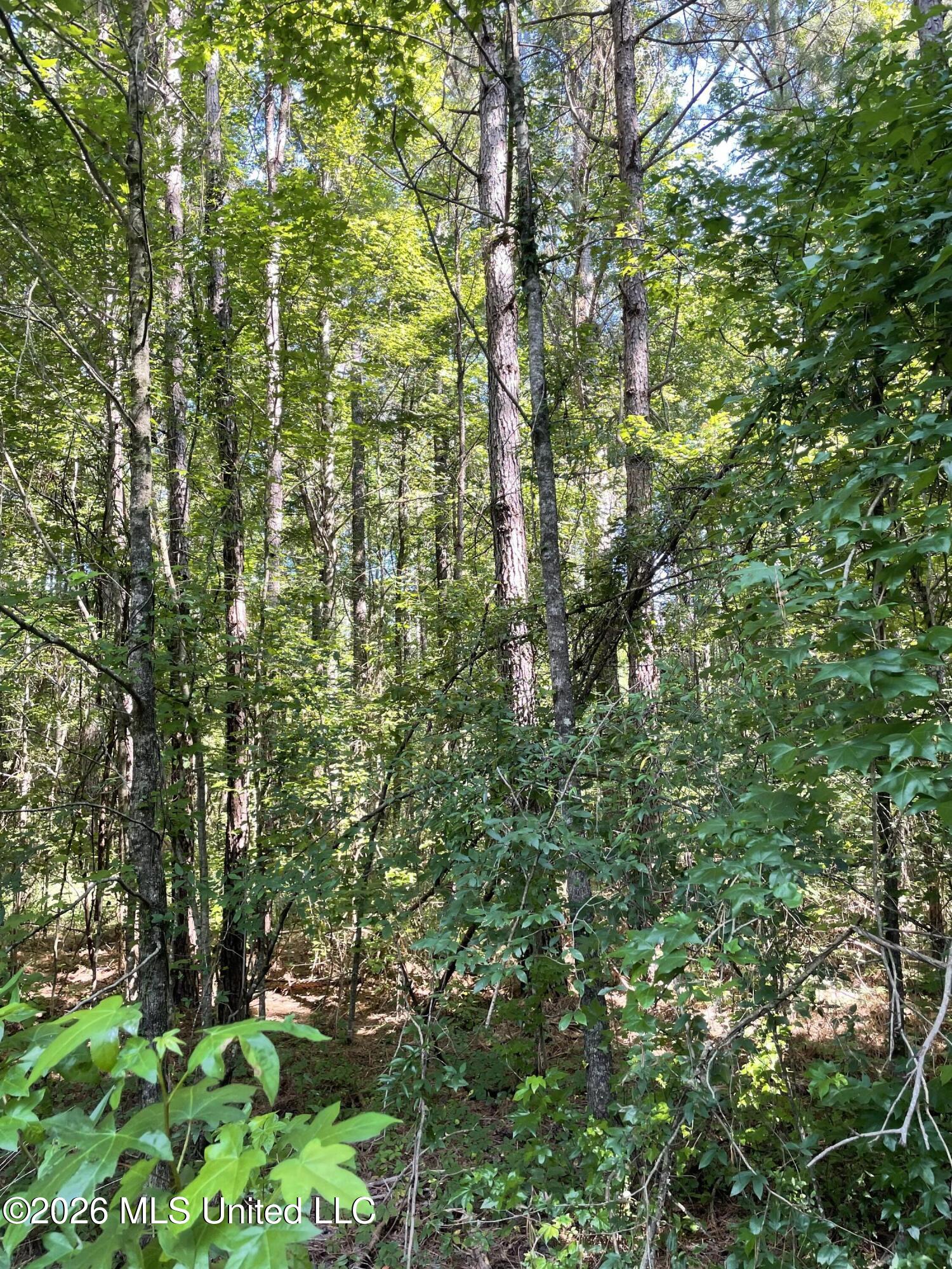 444 Jims Road Property Photo 25