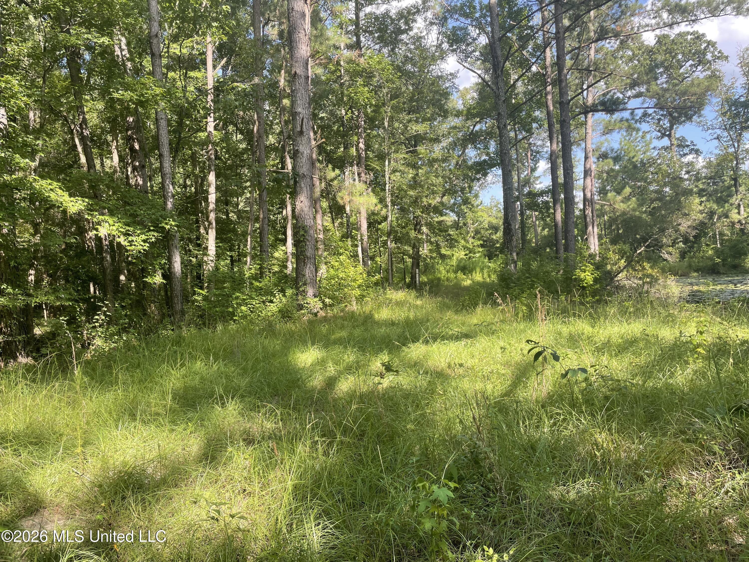 444 Jims Road Property Photo 28