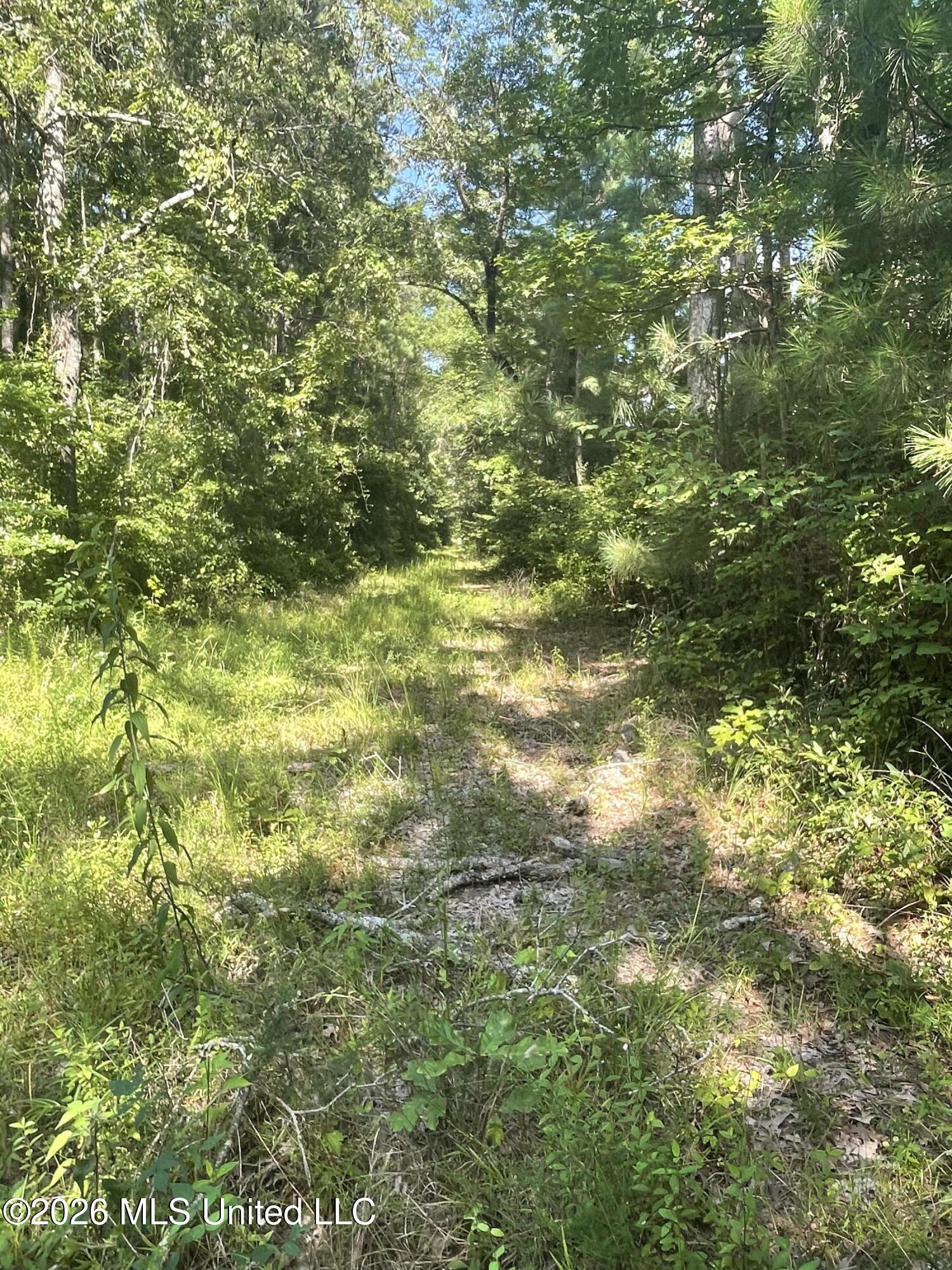 444 Jims Road Property Photo 29