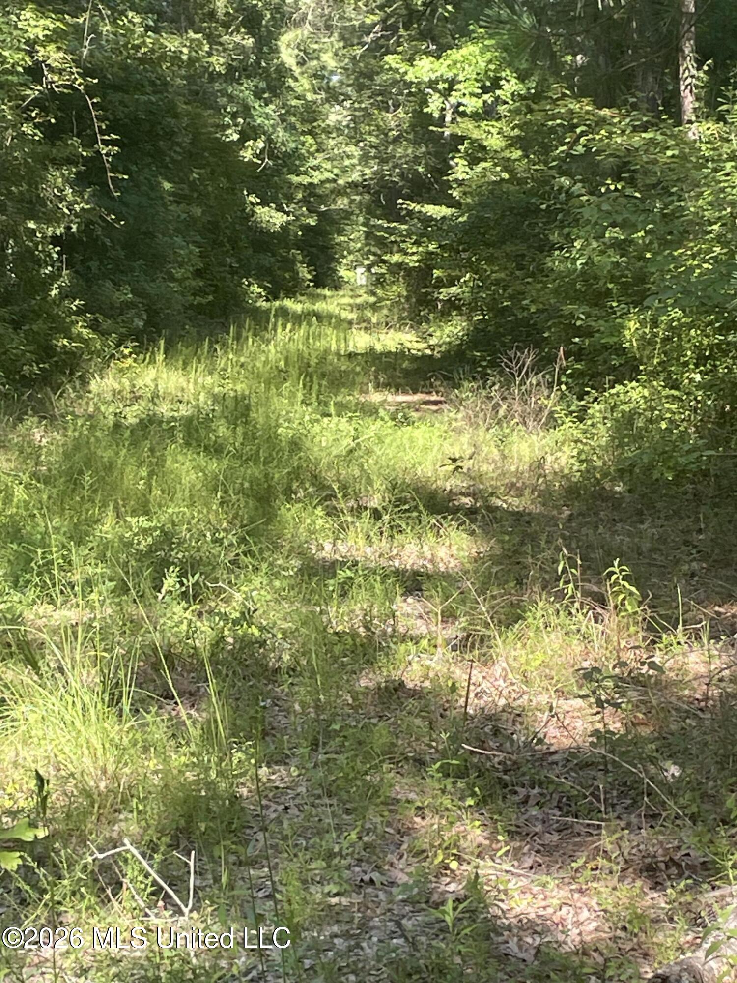444 Jims Road Property Photo 34