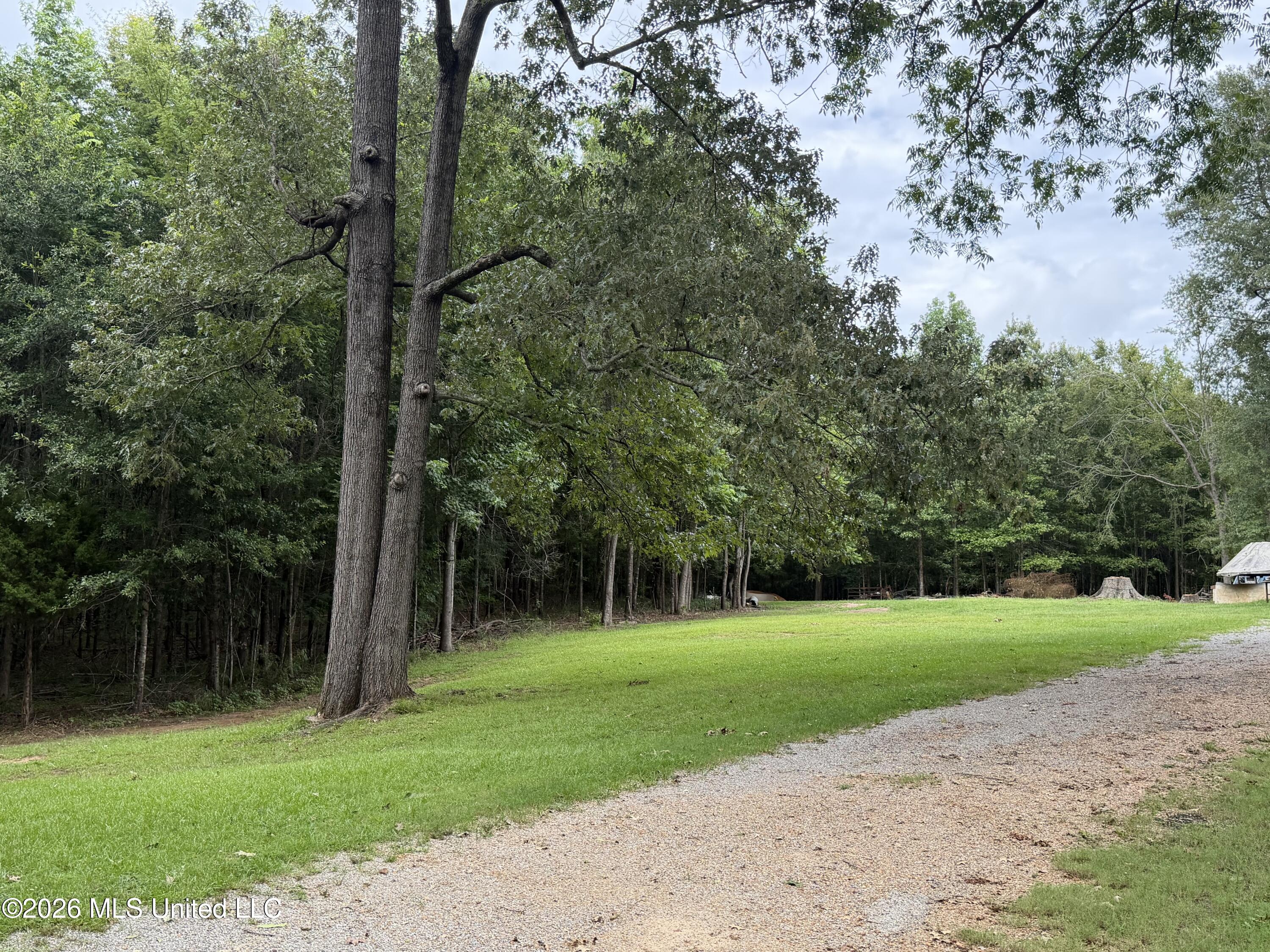 483 N Palestine Road Property Photo 2