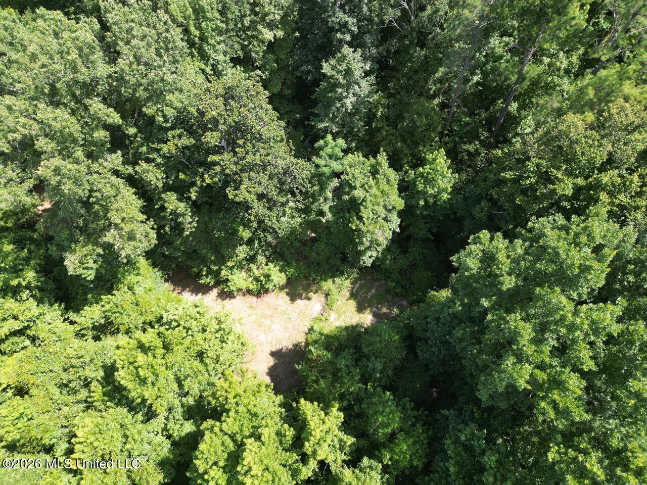 Pam Road Property Photo 7